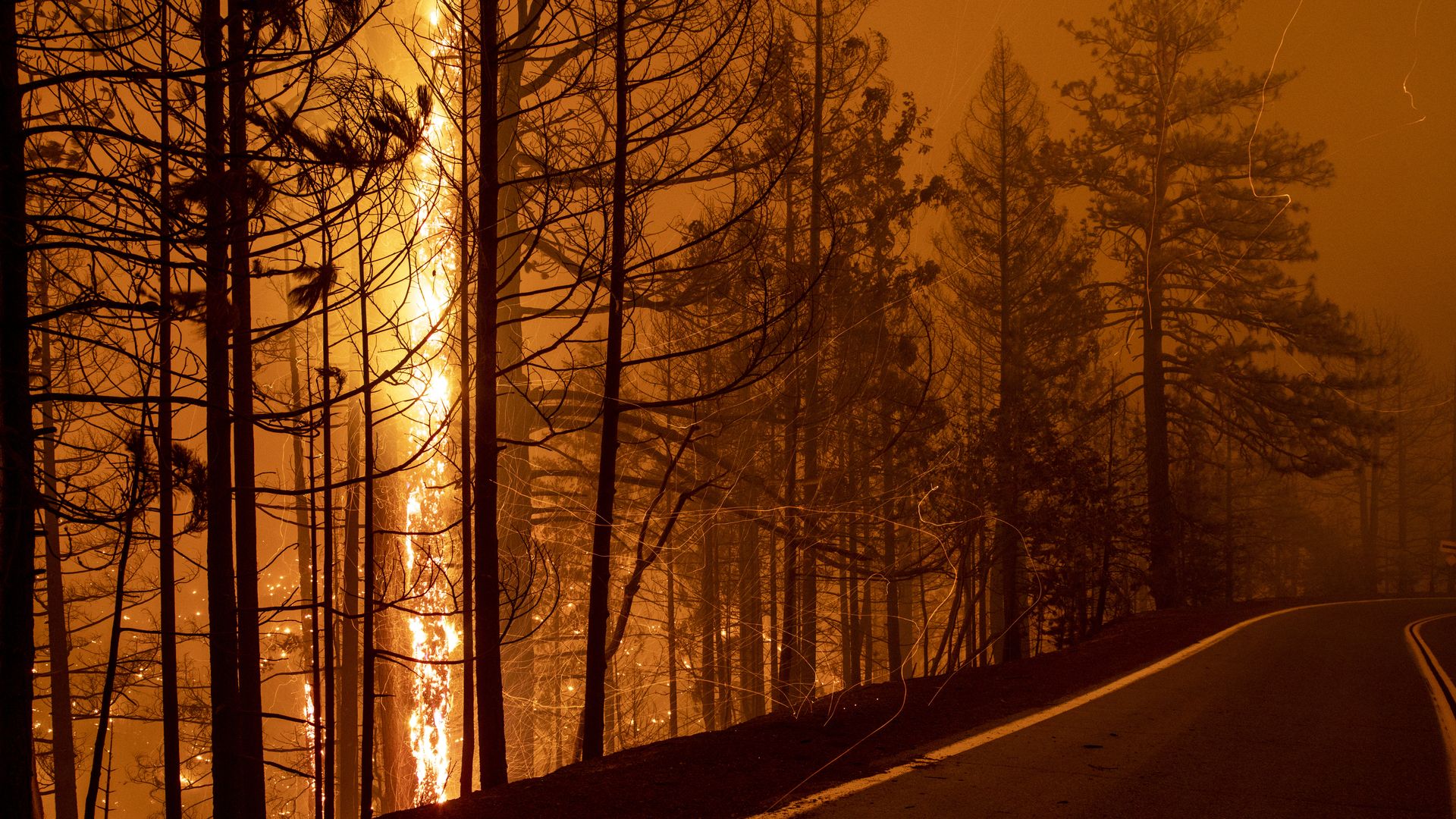 The Mountain Fire consumes a forest 