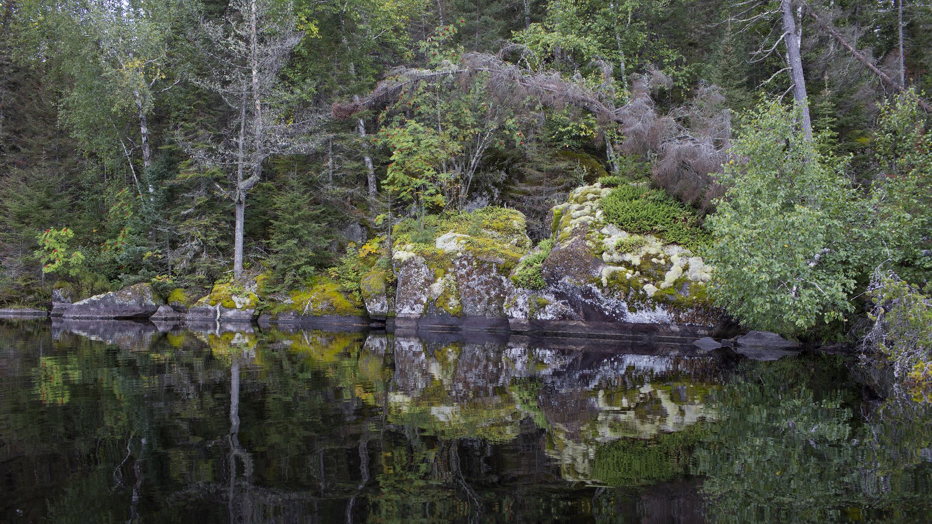 Minnesota’s Boundary Waters Canoe Area Wilderness