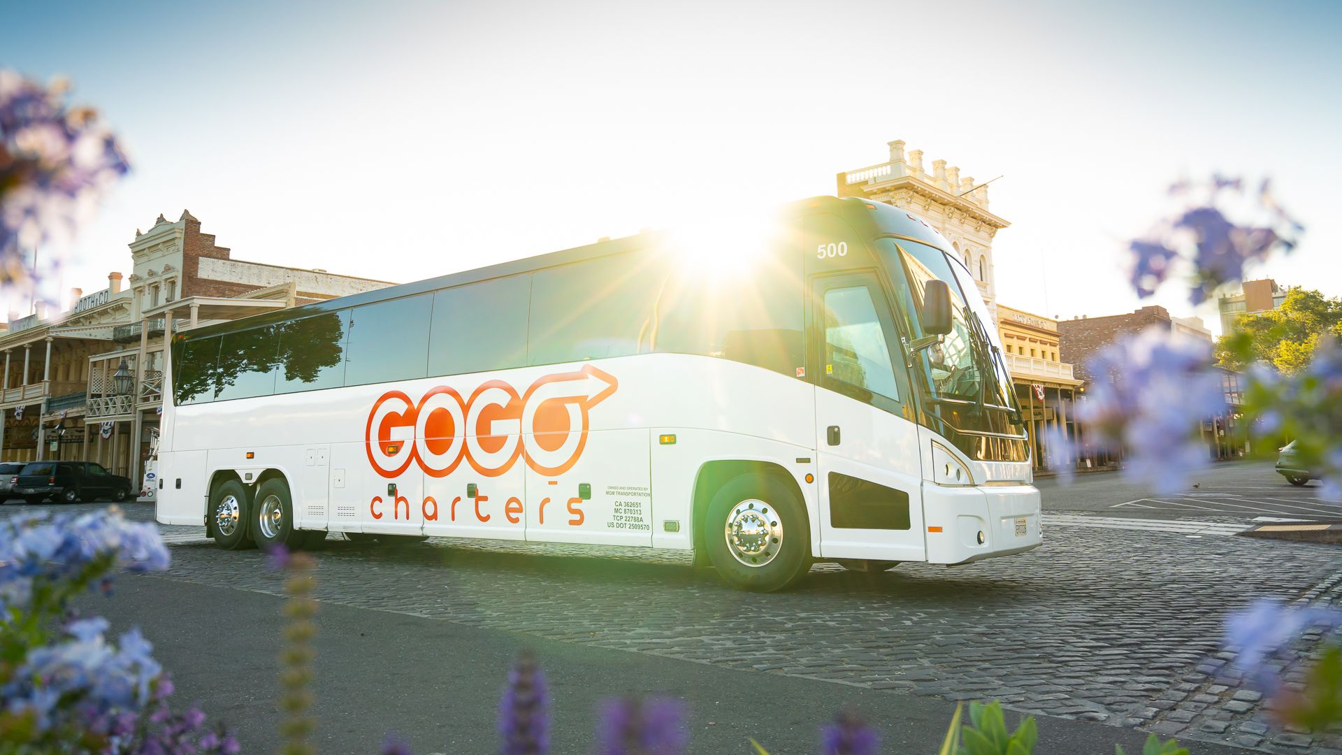 Sunlight shines on a Gogo Charters bus driving on a cobblestone street with historic buildings behind it.