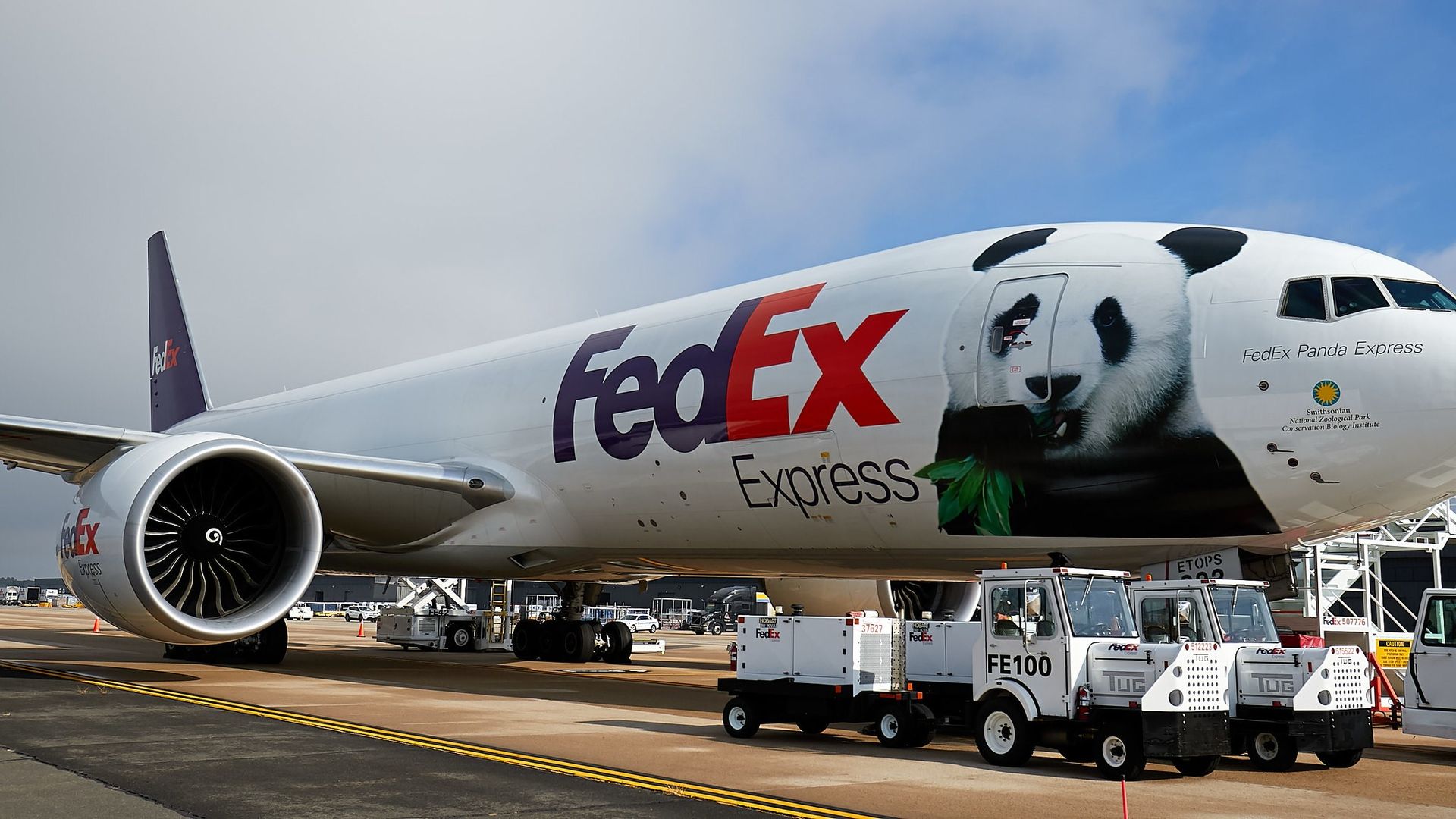 A FedEx jumbo jet with a giant panda decal on the side