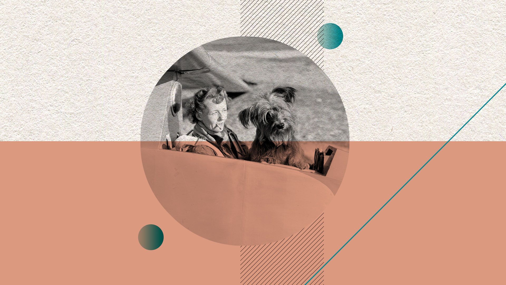 Photo illustration of a vintage airplane carrying a woman and a dog with circles and stripes