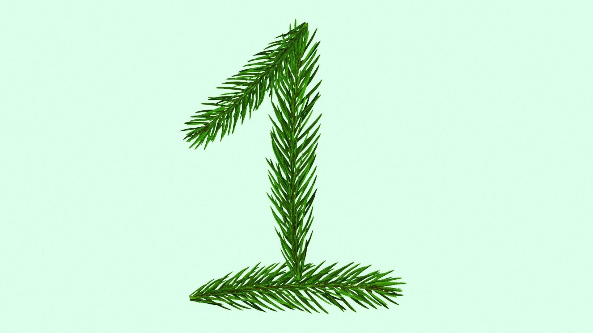 Illustration of Christmas tree sprigs forming the number one