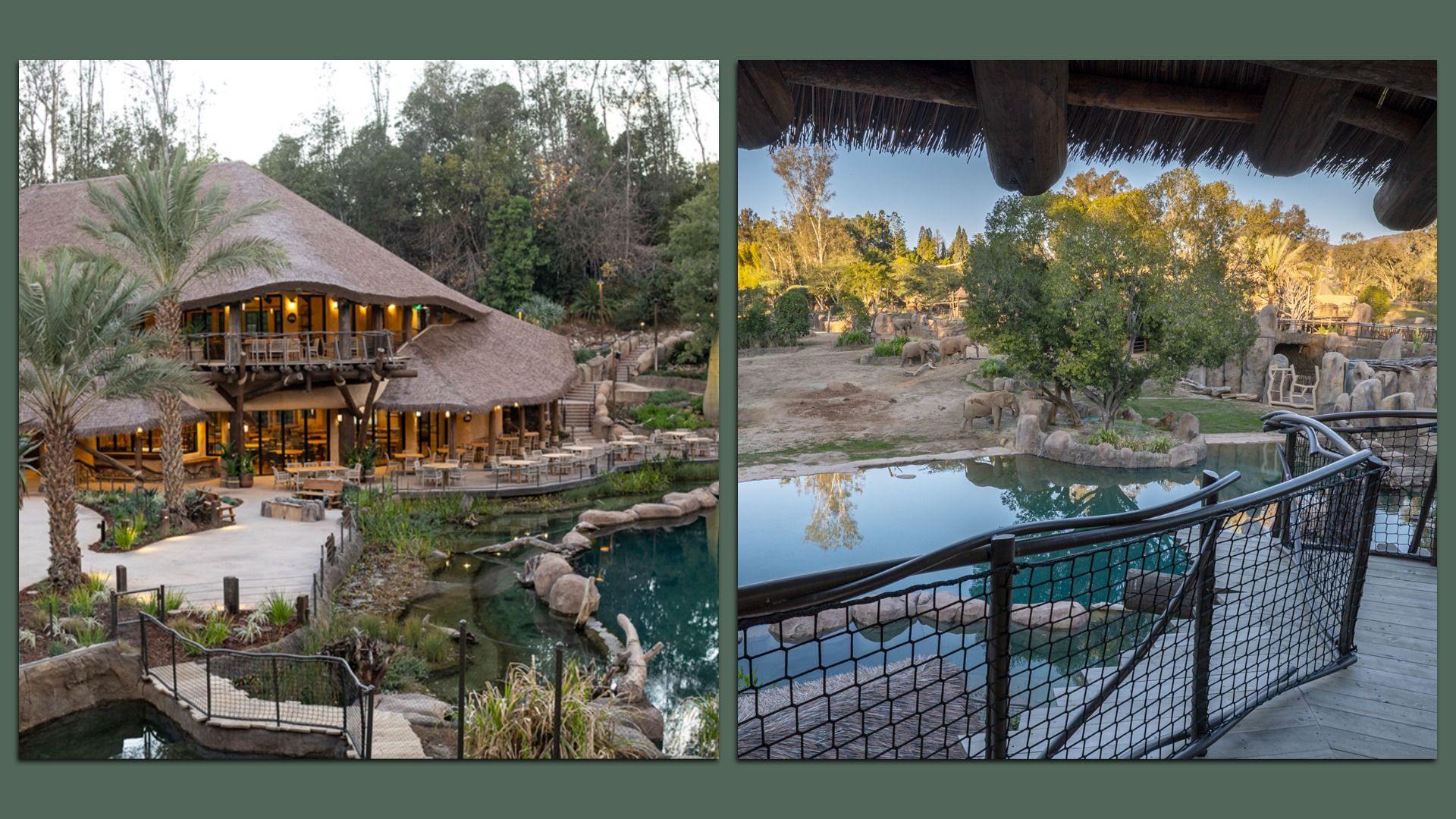 Two images of a restaurant designed like a safari lodge with thatched roofs next to a water feature, surrounded by greenery and trees. One image shows a patio view of elephants grazing near the water under a clear sky.