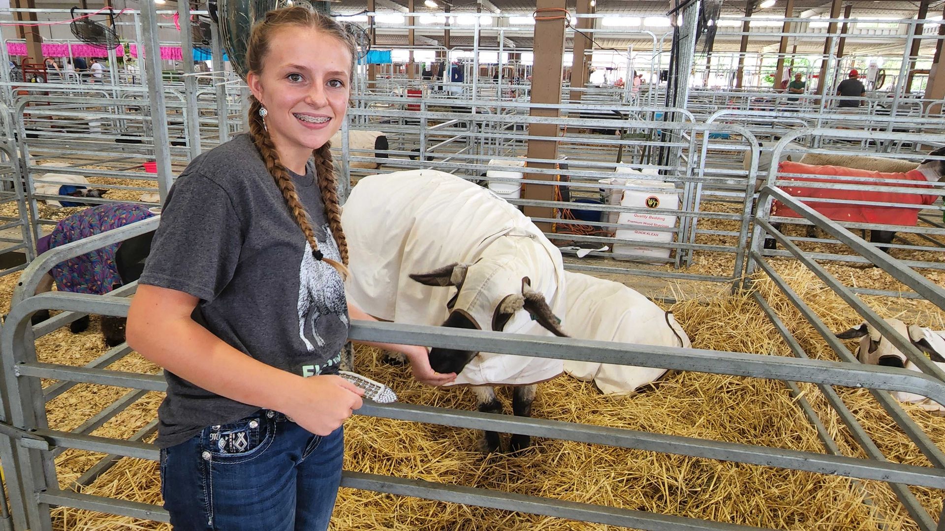 A 13-year-old 4-H participant stands next to a sheep.
