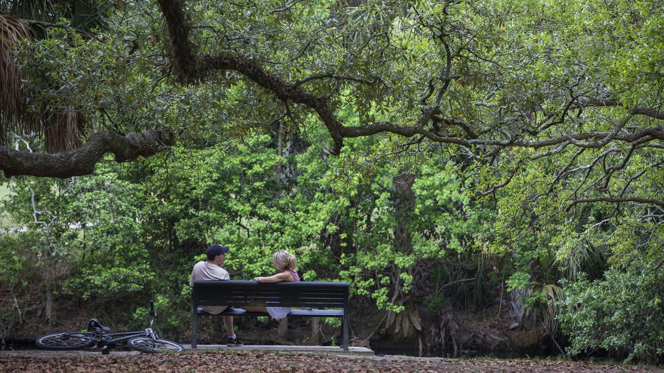 how-to-pick-the-best-tree-to-plant-in-your-new-orleans-yard-axios-new