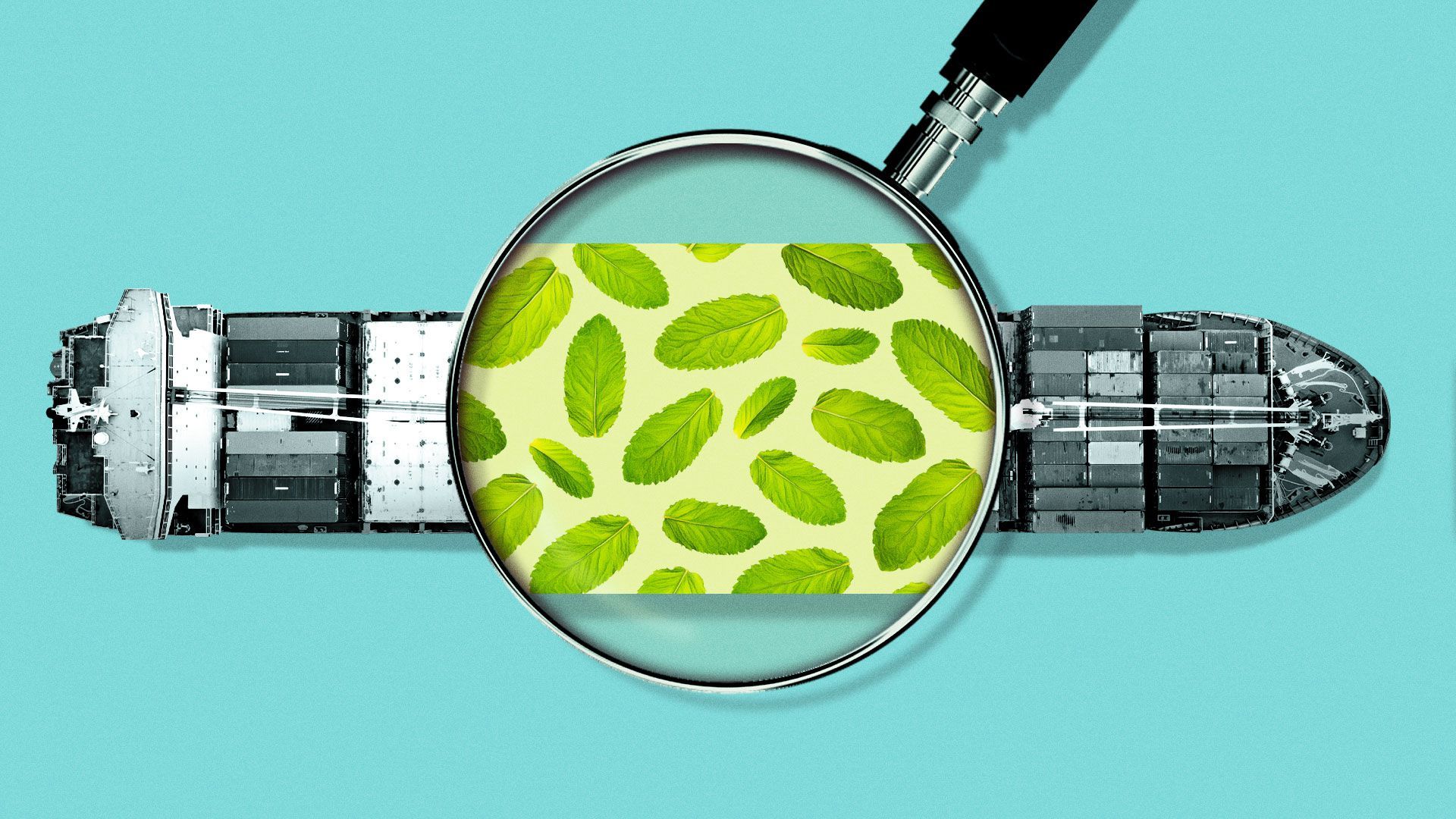 Illustration of a cargo ship with a magnifying glass revealing leaves
