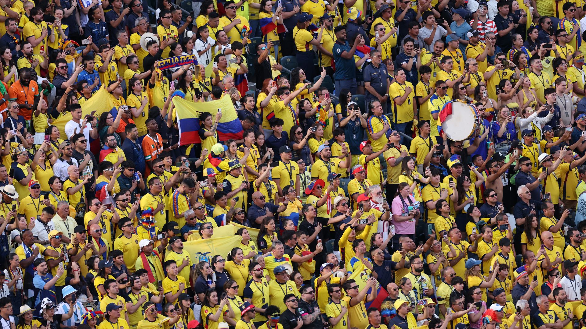 Ecuador fans pack Philadelphia Stadium for the World Cup match against the Ivory Coast.