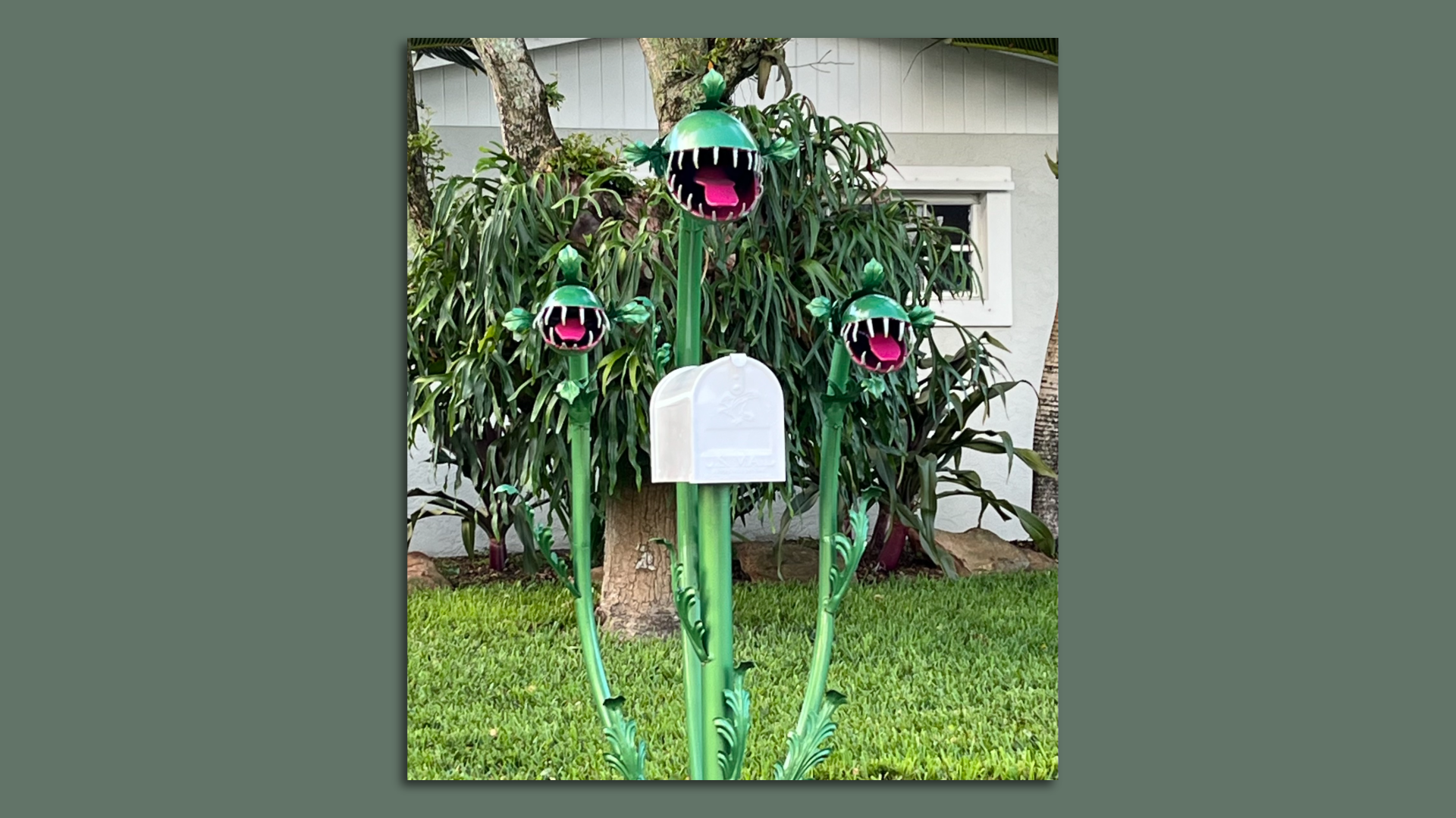 A mailbox designed to look like a three-headed Venus flytrap.