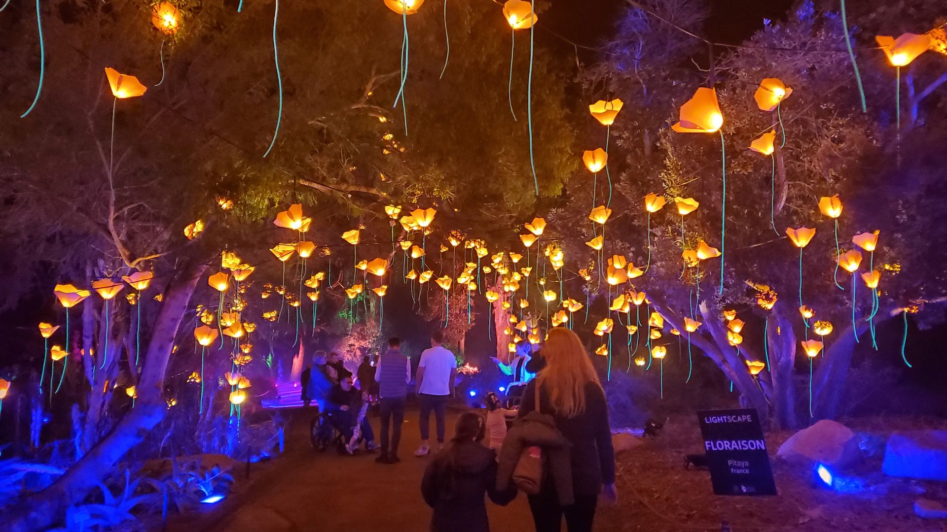 Night scene of a light art installation with glowing orange lanterns hanging from trees and people walking along a path lit by blue ground lights and surrounded by trees.