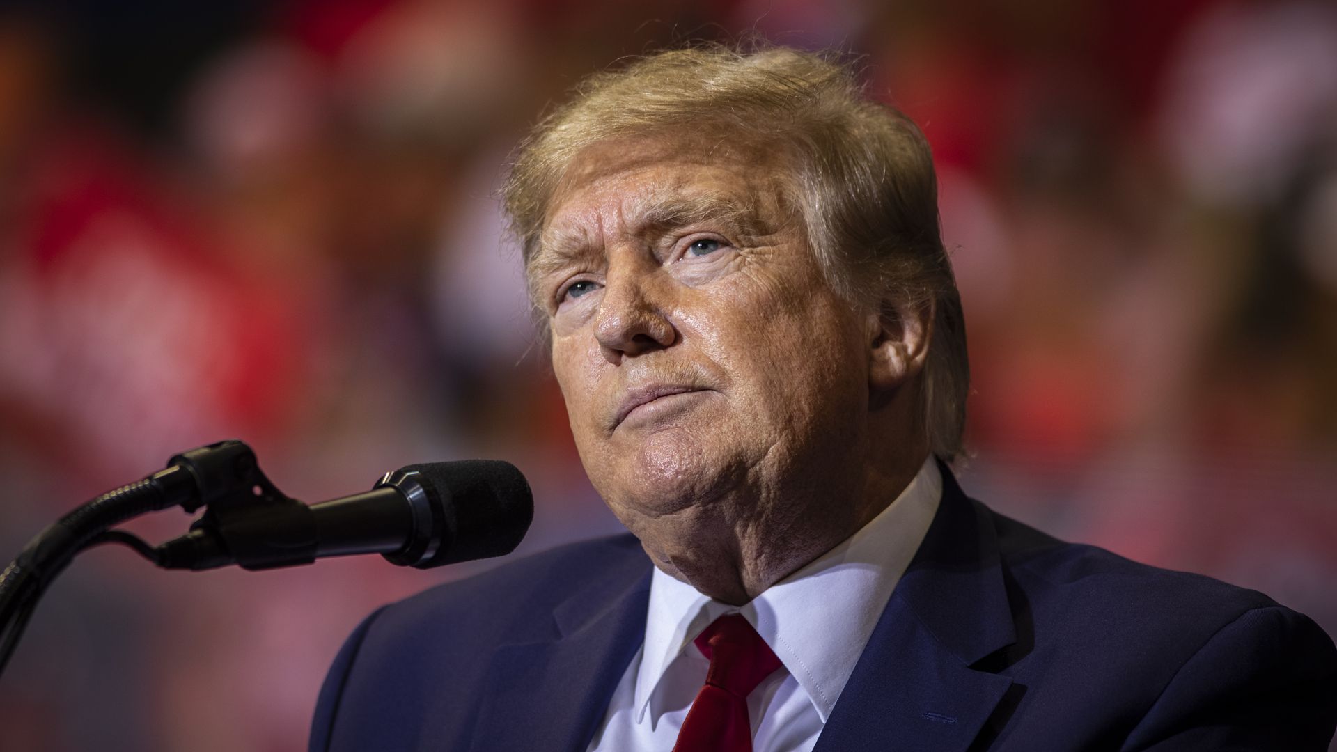 Picture of Donald Trump