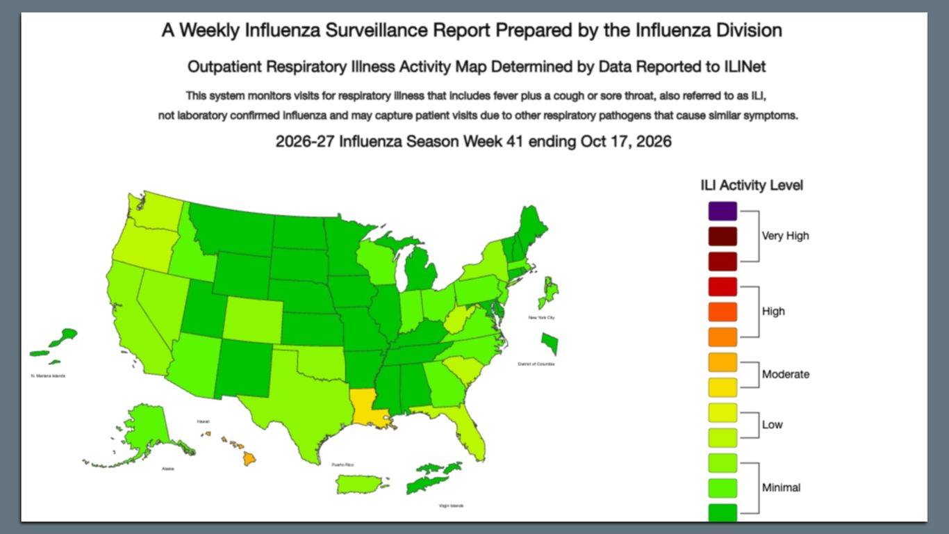 Louisiana's currently a flu hot spot