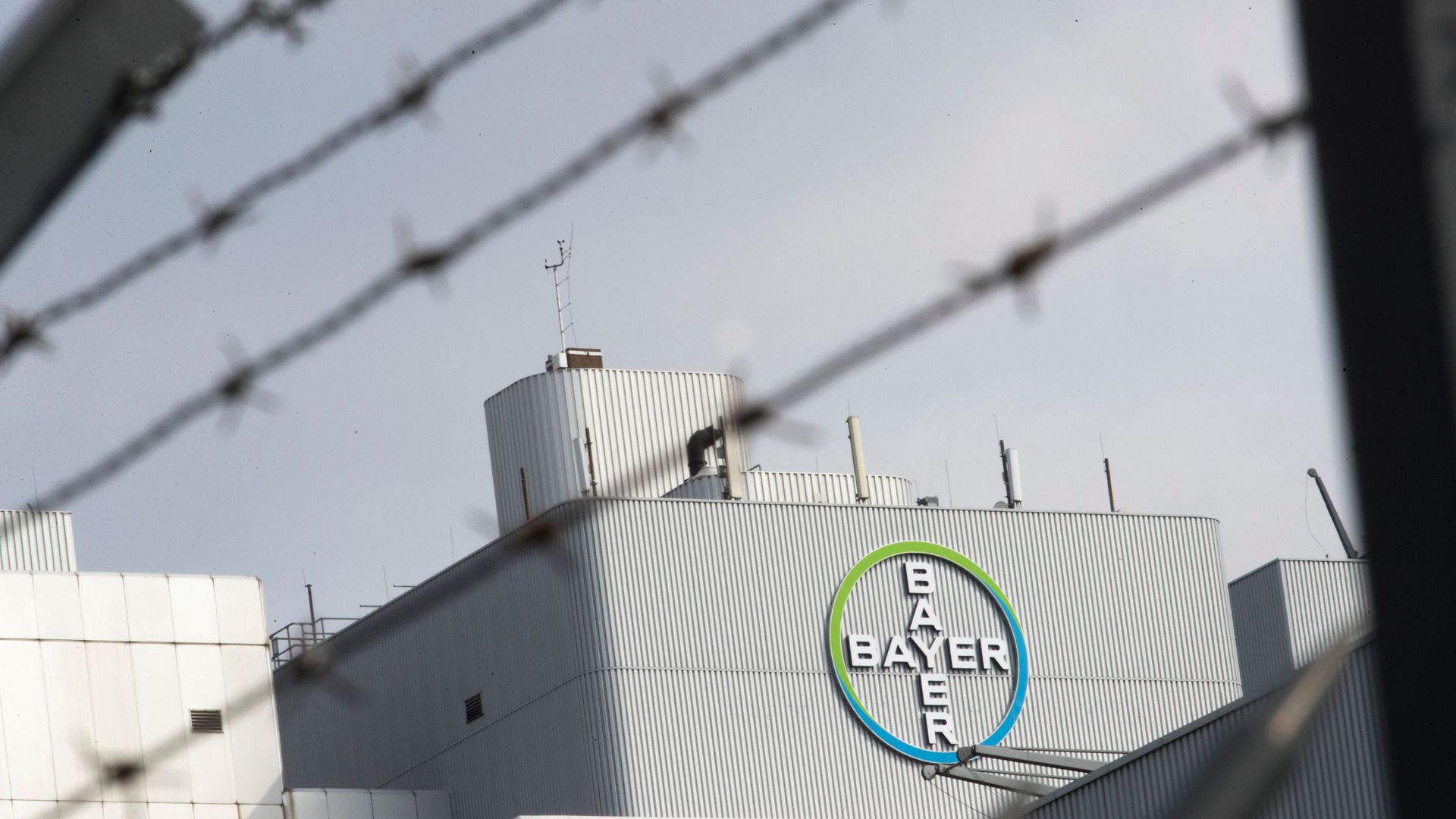 Bayer plant