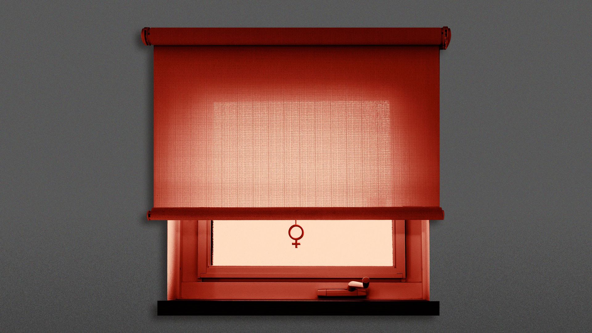 Illustration of window curtain with the female symbol as the curtain pull.