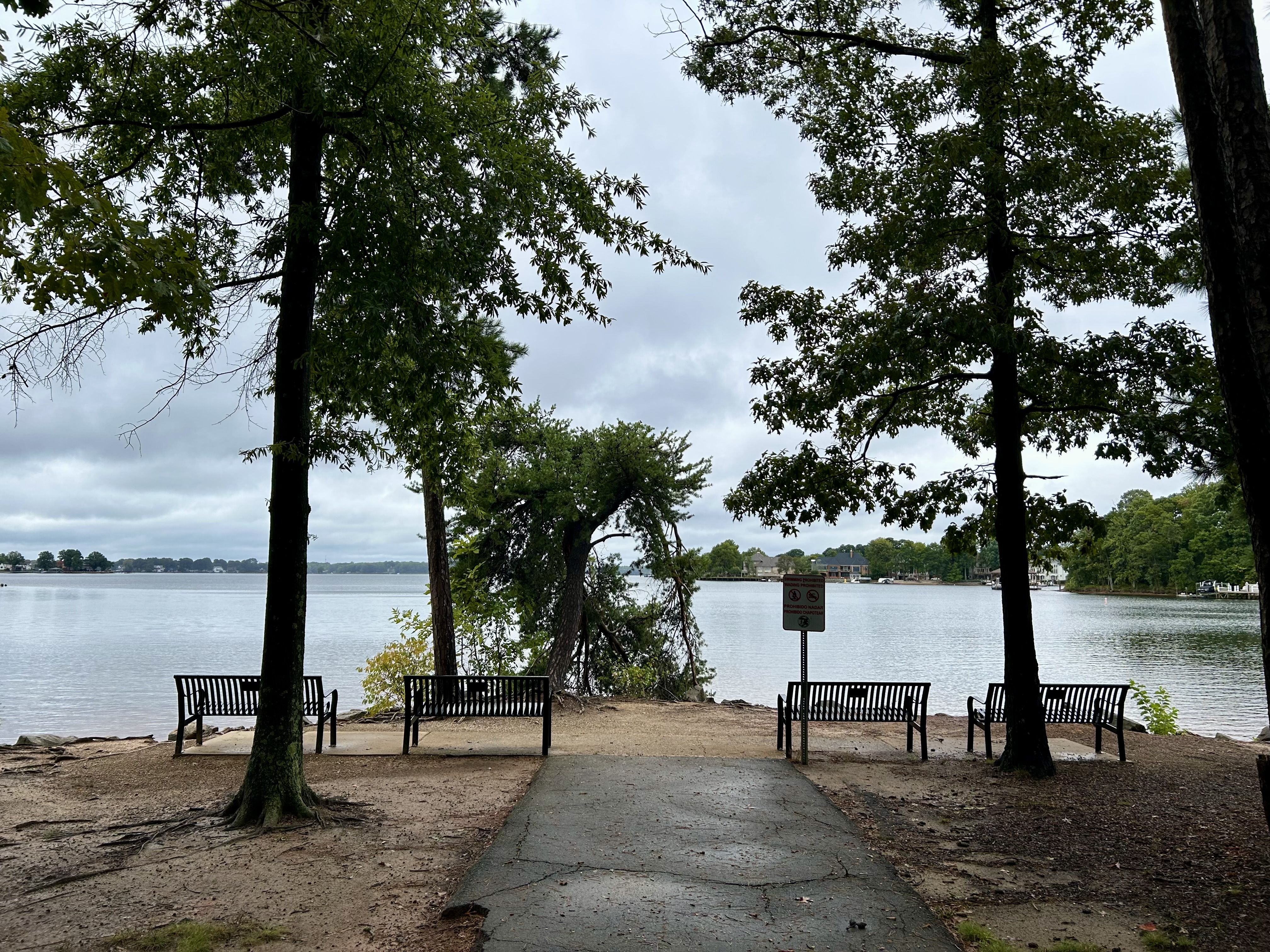Path leading to a lakeside area with four black metal benches under large green trees on a cloudy day. Calm water and distant houses are visible across the lake.