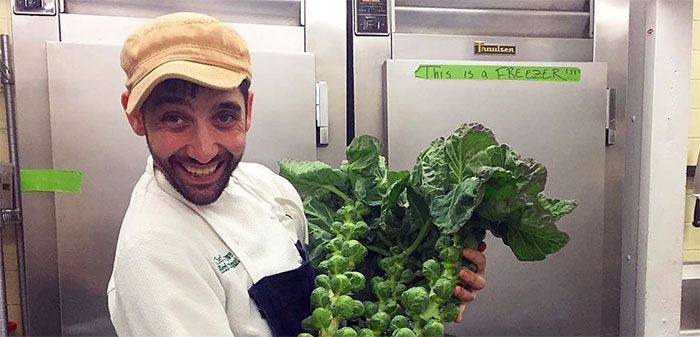 clarke-barlowe-heirloom