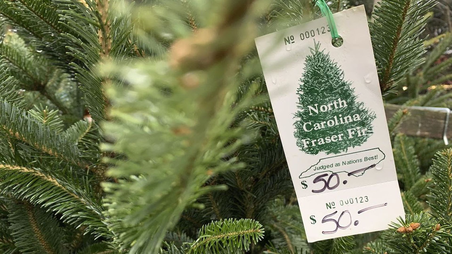 Tight supply is driving a rise in Christmas tree prices