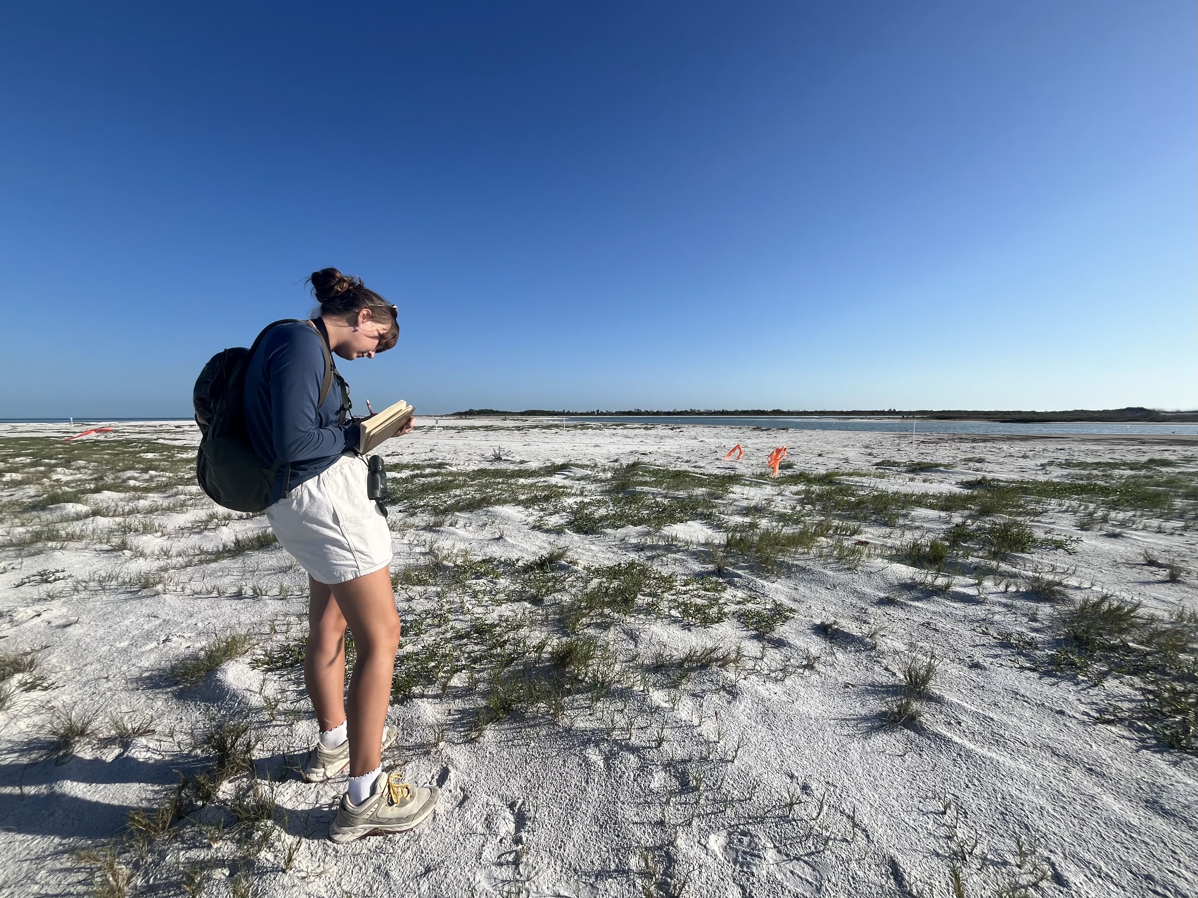 A person with a backpack stands on white sandy beach, reading a book in a blue long-sleeve shirt and white shorts, under a clear blue sky; orange marker flags dot the distant shore.