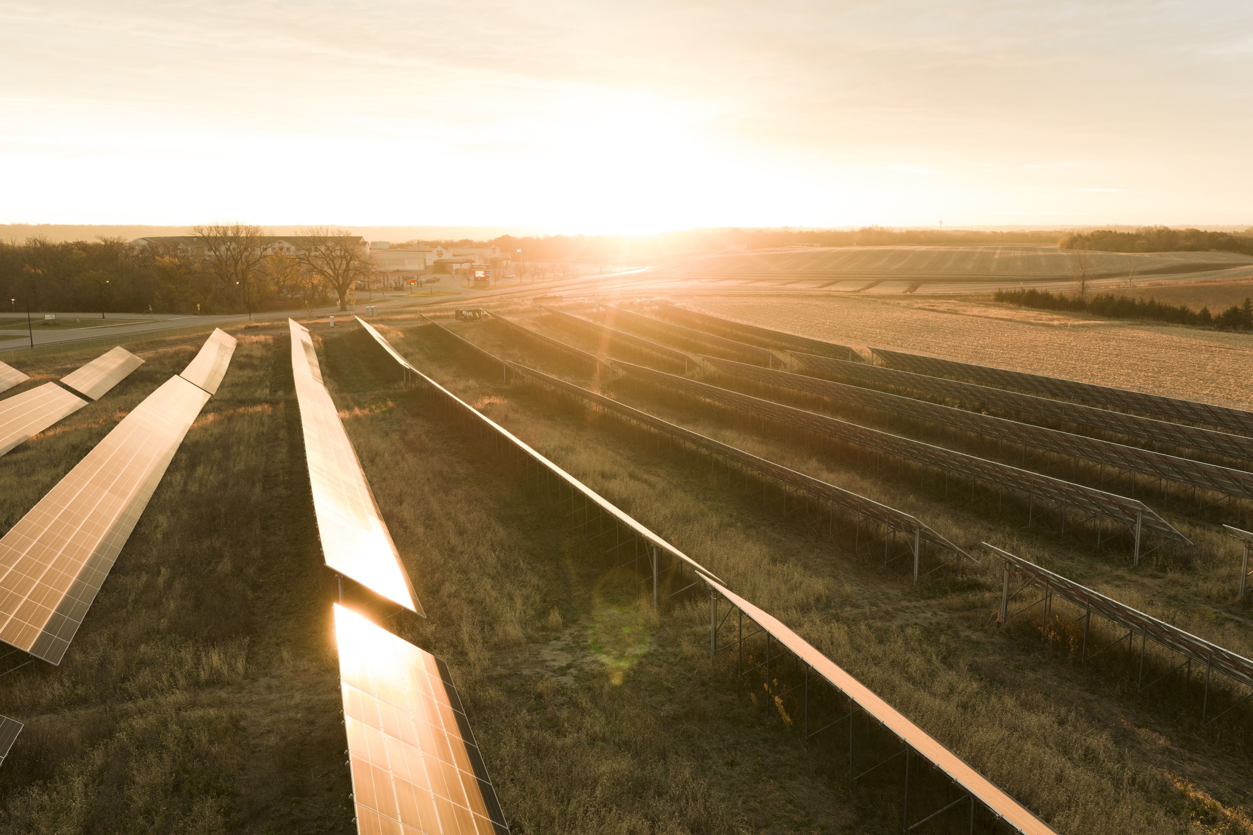 A photo shows the sun rising over a solar farm in Minnesota.