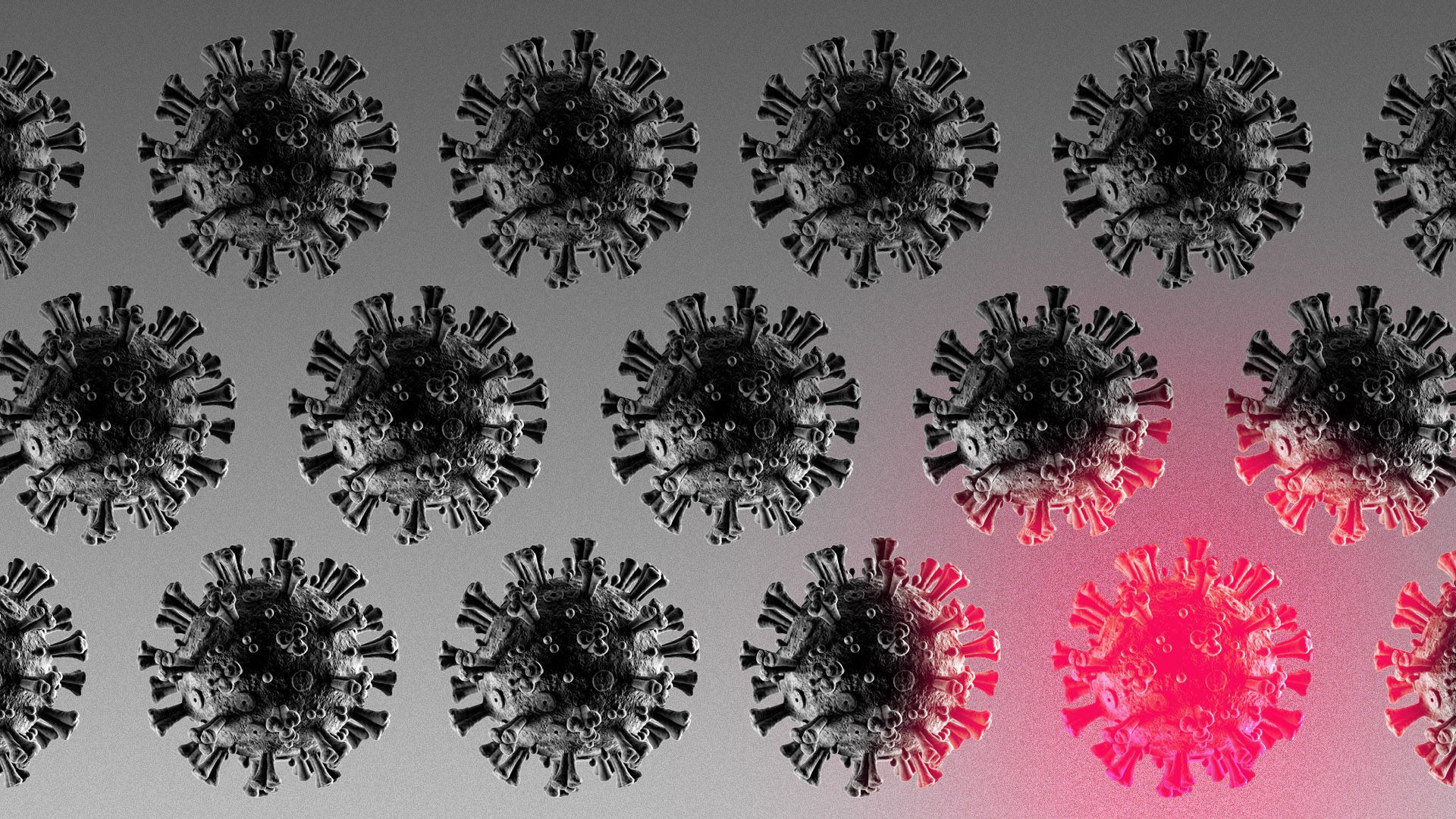 Illustration of a pattern of gray virus cells with one lighting up in red