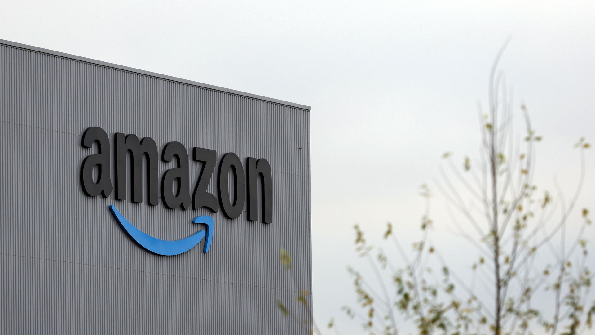 Picture of Amazon logo