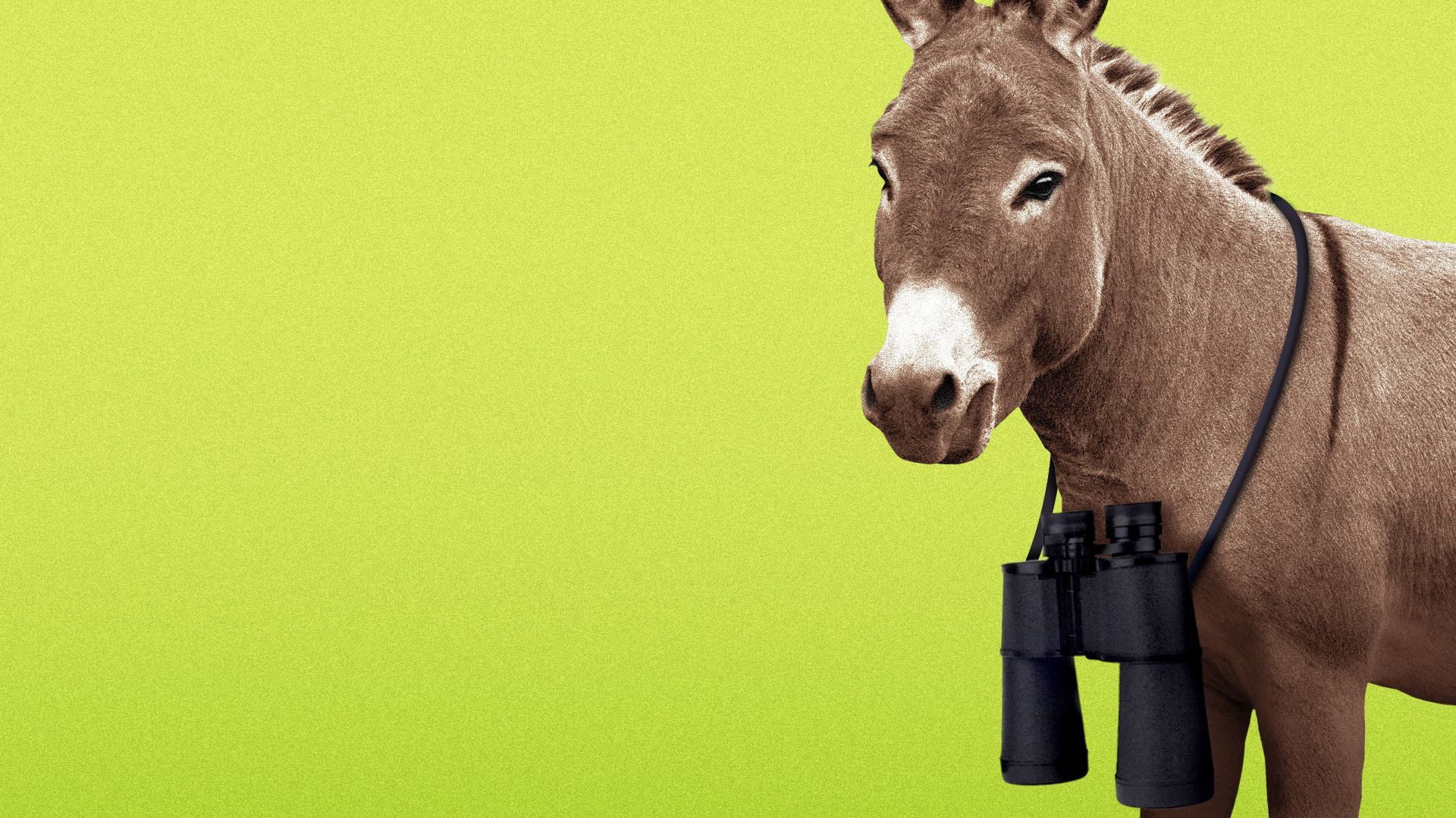 Illustration of a donkey wearing a pair of binoculars around its neck.