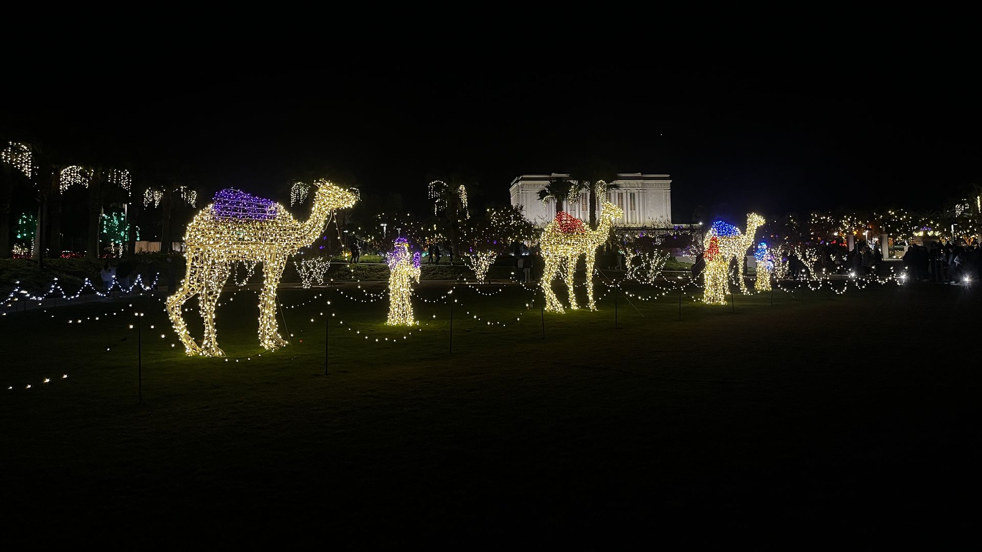 A light display outside of a temple.