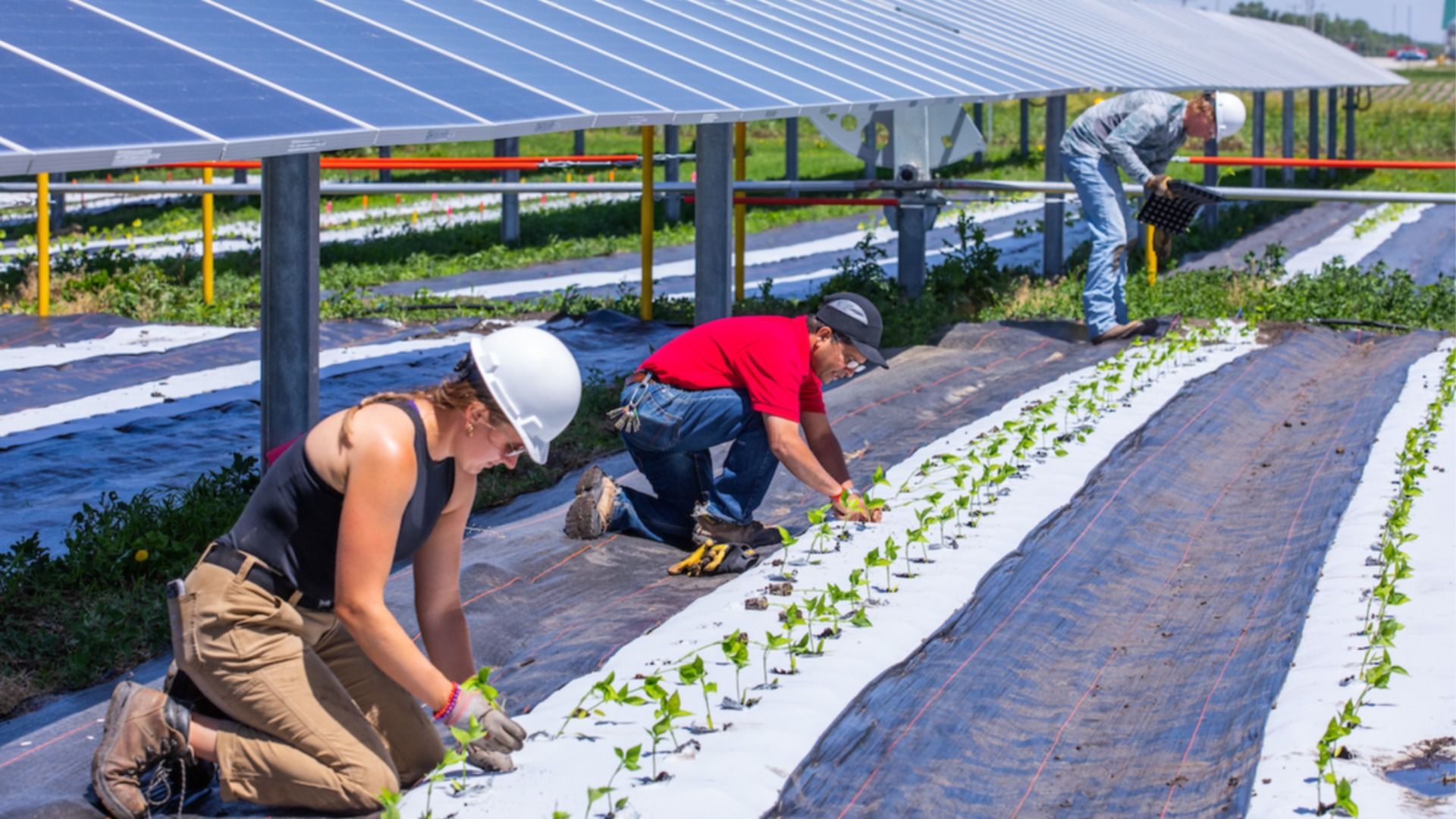 A photo of a farm test site in Iowa.