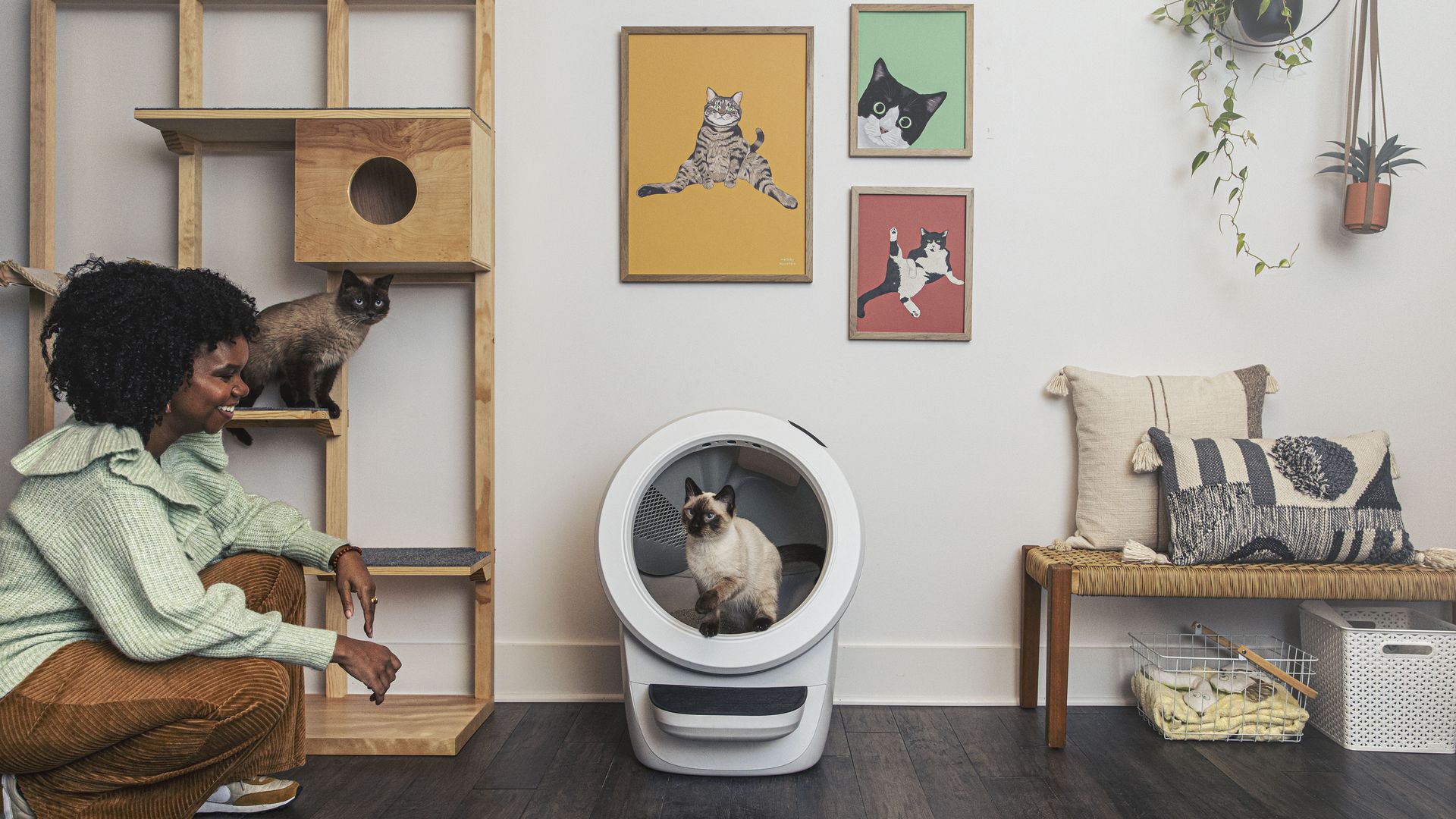 Smart litter box in modern home