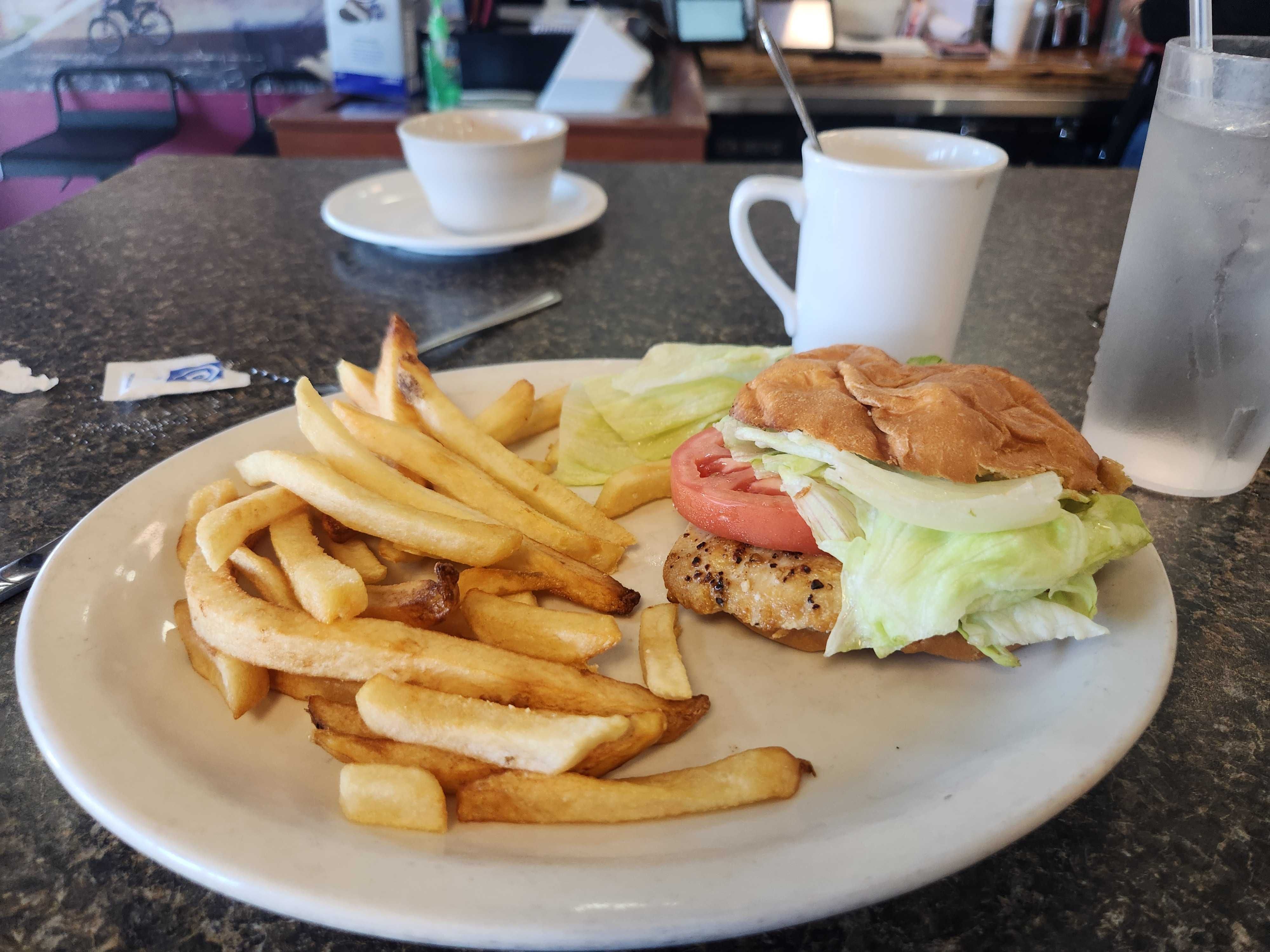 A plate of grilled chicken and fries on a diner counter. 