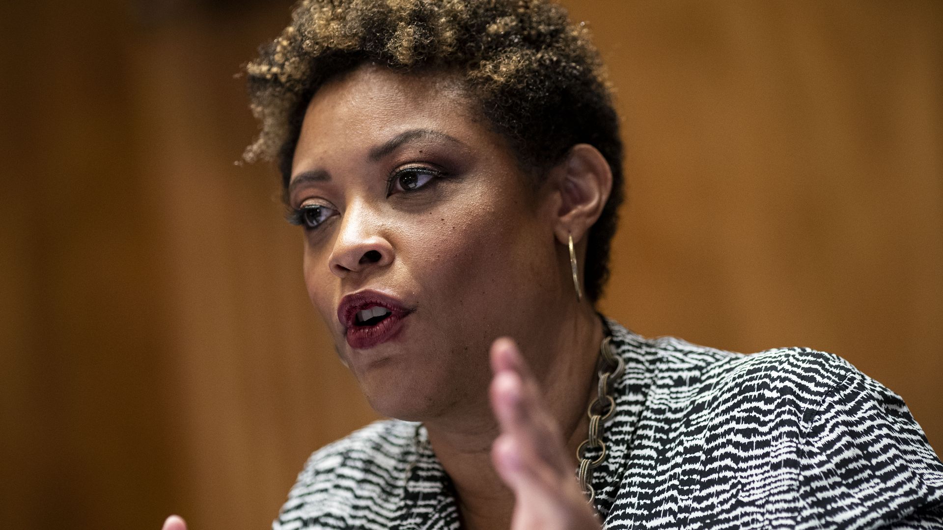 Photo of Shalanda Young speaking while gesturing with her hands
