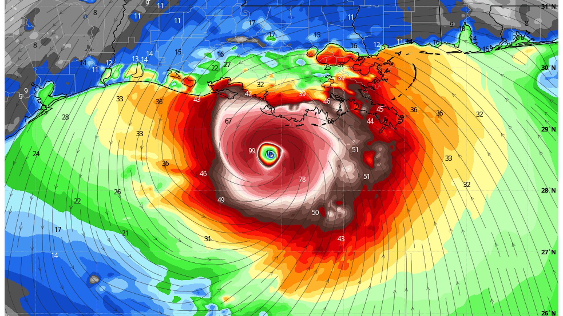 Computer model simulation of Hurricane Ida approaching coastal Louisiana Sunday.