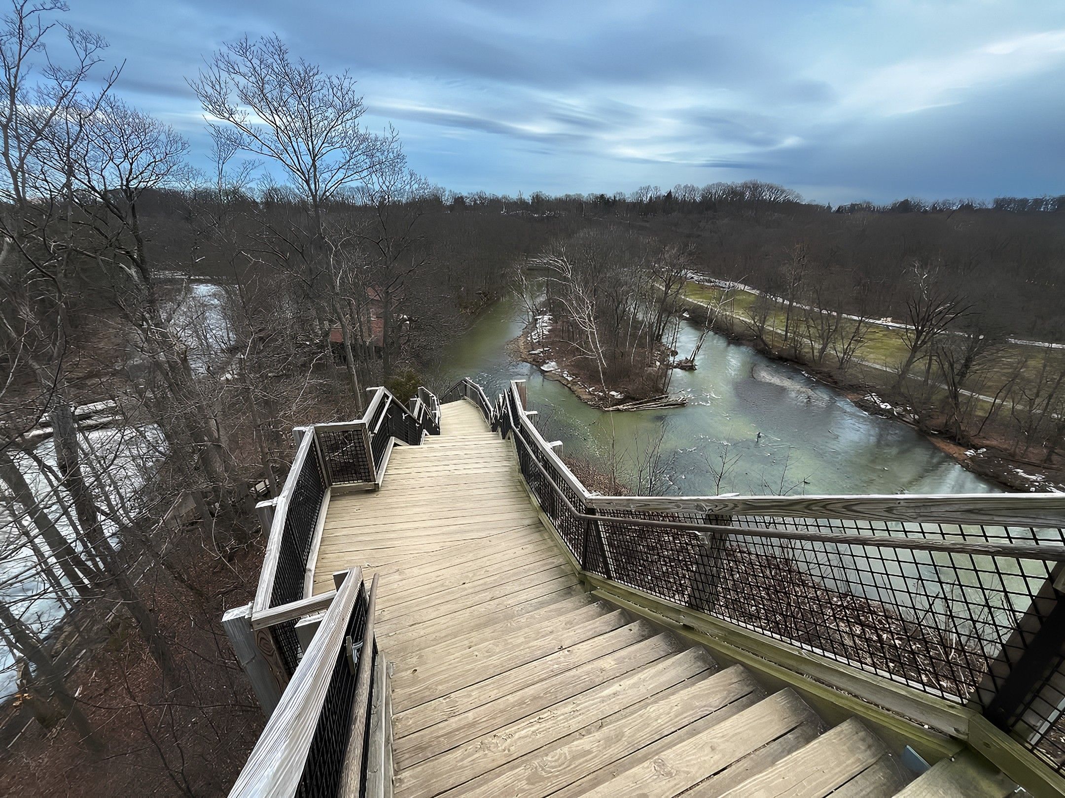Looking down from the top of steep steps at a nature preserve. 