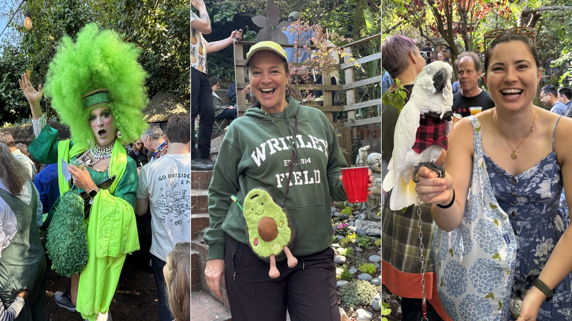 Three festive scenes: a person in bright green costume and large matching wig, a smiling woman in green "Wrigley Field" hoodie with avocado purse holding a red cup, and a joyful woman holding a white parrot dressed in a red plaid vest.