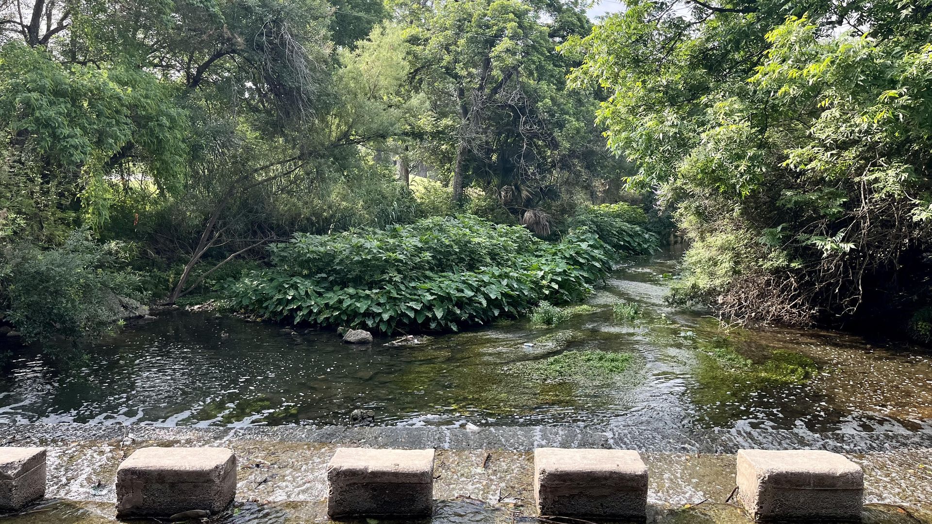 A concrete low water crossing is seen above a portion of the river that forms a pool with vegetation