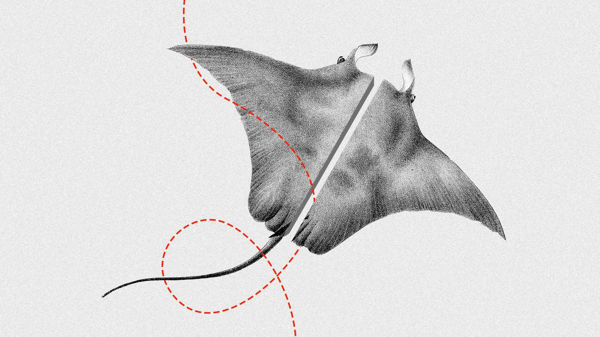 An illustration of a ray being split by a red dotted line 