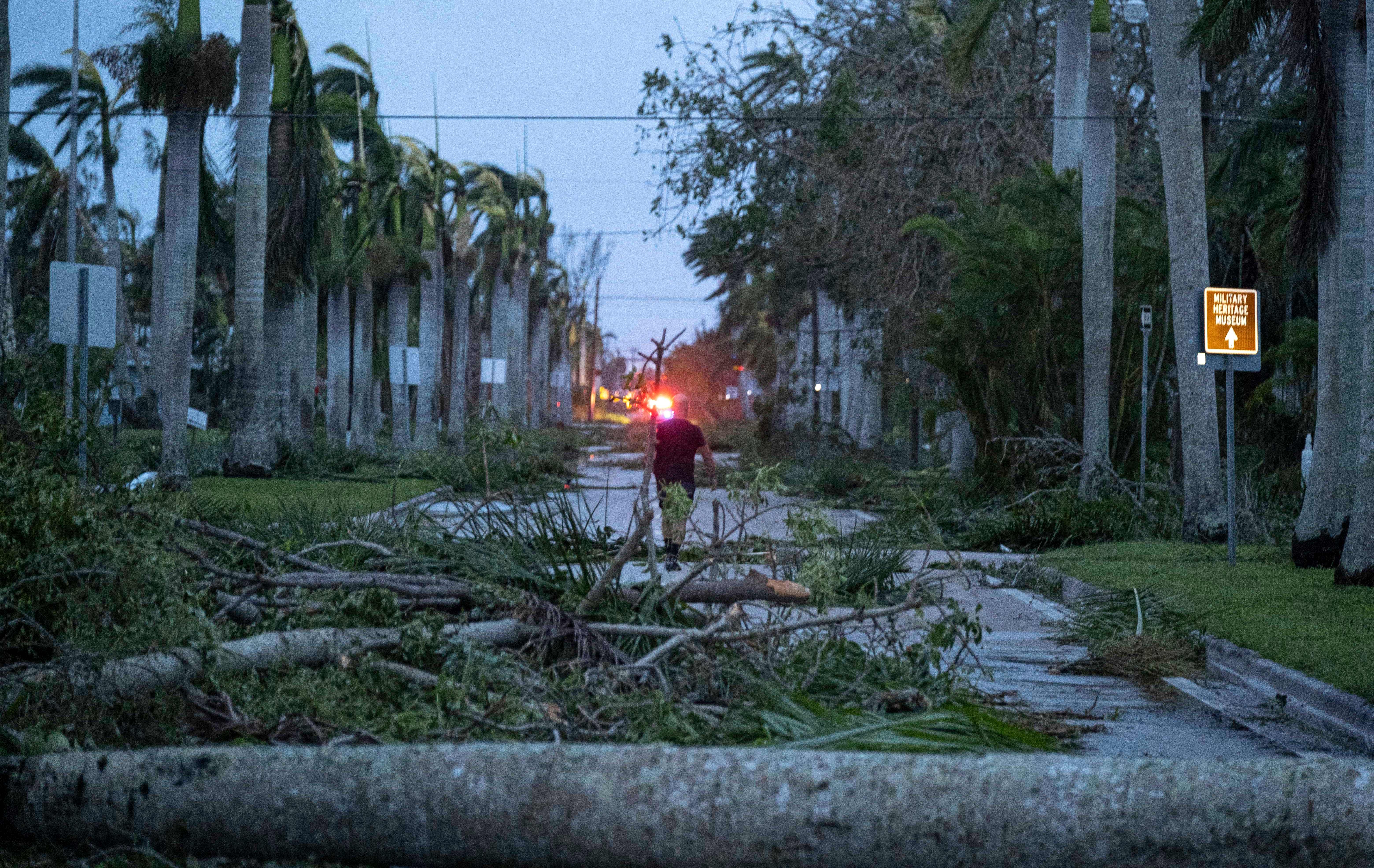 man walking through fallen trees after hurricane