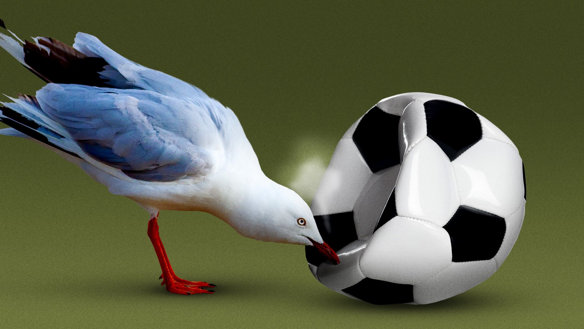 Illustration of a seagull piercing a deflating soccer ball. 