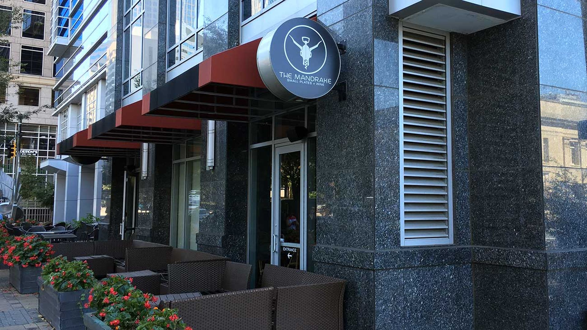 the-mandrake-charlotte-nc