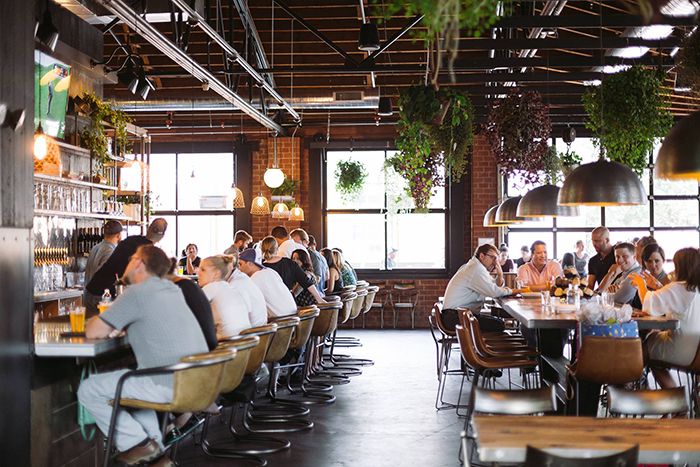 suffolk-punch-charlotte