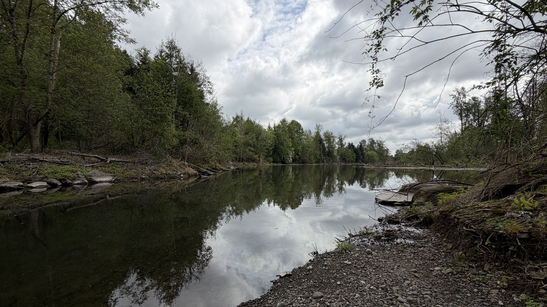 Tranquil riverbank scene with densely forested shores, a rocky foreground, and an overcast sky reflected in calm water.
