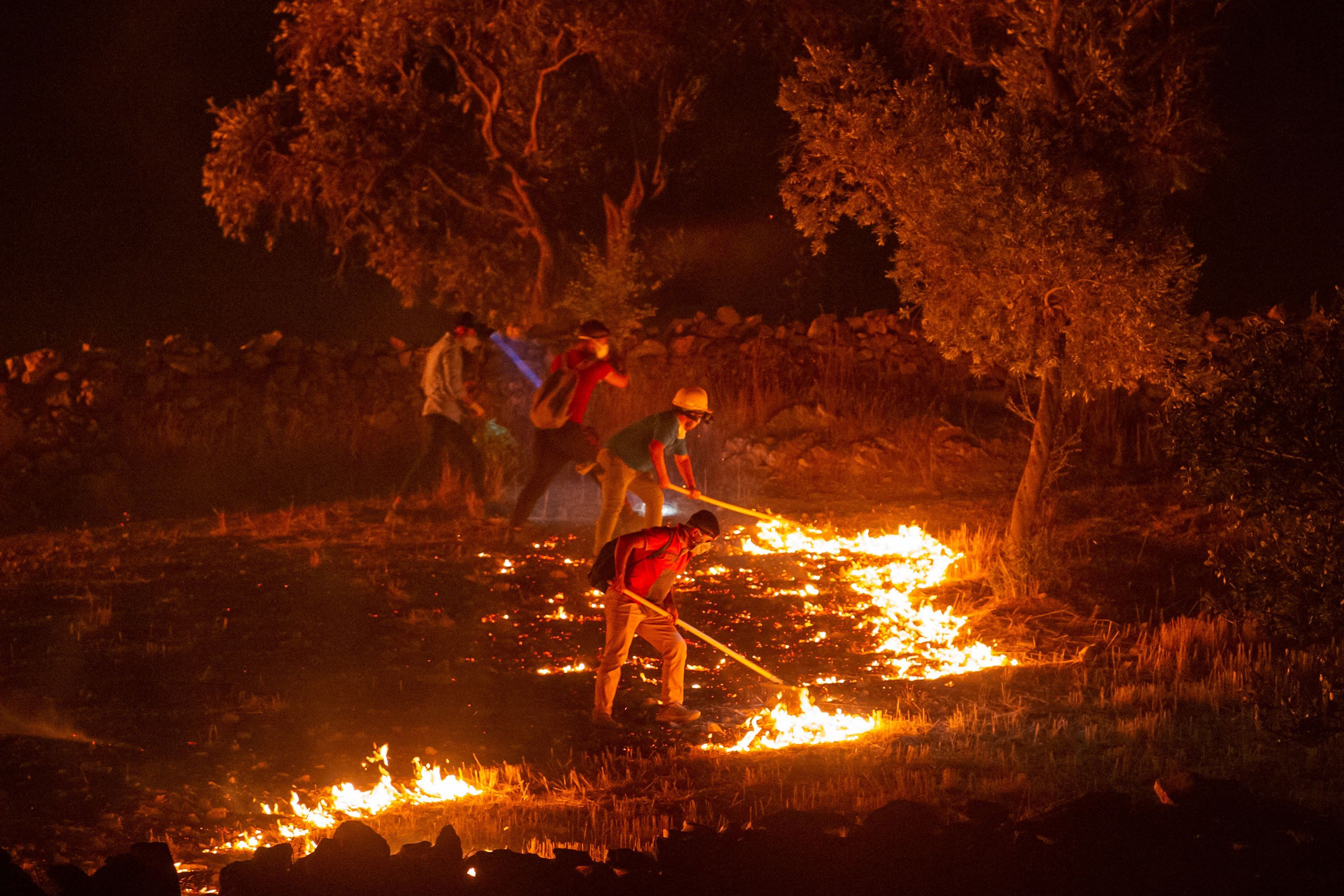 People try to extinguish a wildfire spreading in a field in Turkey