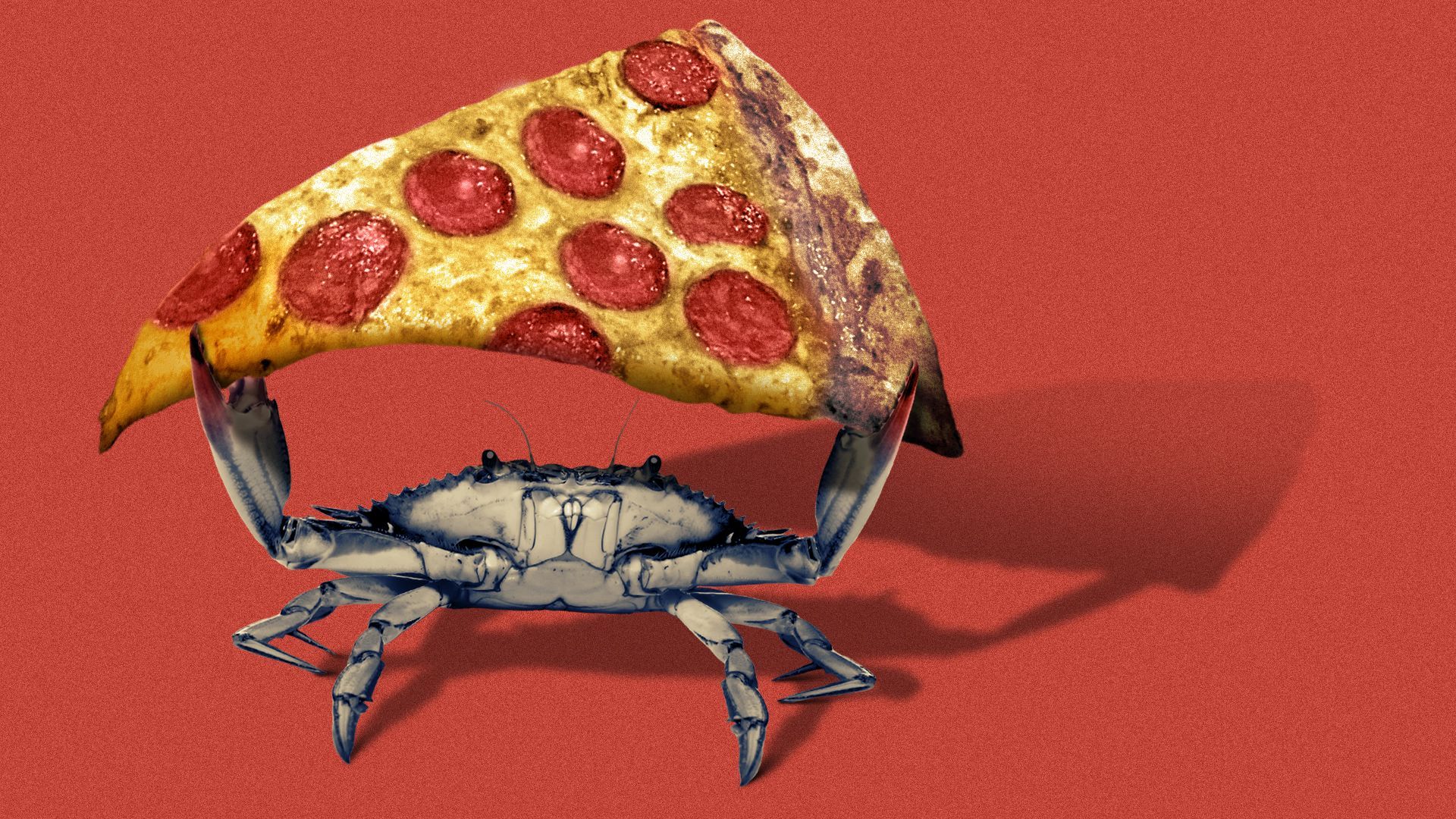 Illustration of a blue crab carrying a jumbo slice of pizza.