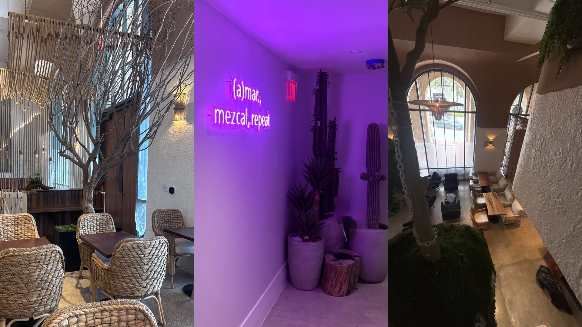 Triptych interior: left cozy dining area with wicker chairs and a bare tree; middle purple neon "calmar, mezcal, repeat" near cacti; right bright lounge with arched window and greenery.