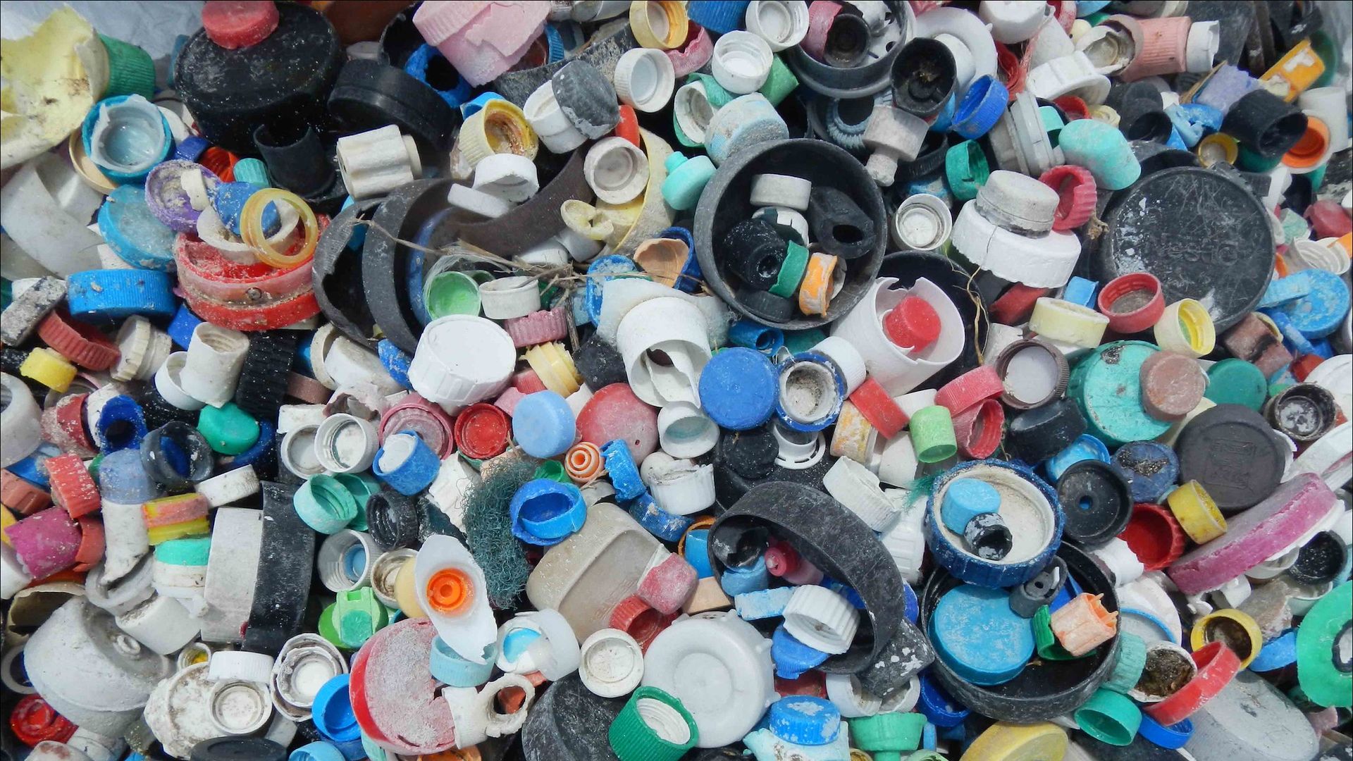 A photo of plastic bottle caps and other marine debris cleaned up by the Samish Indian Nation. 