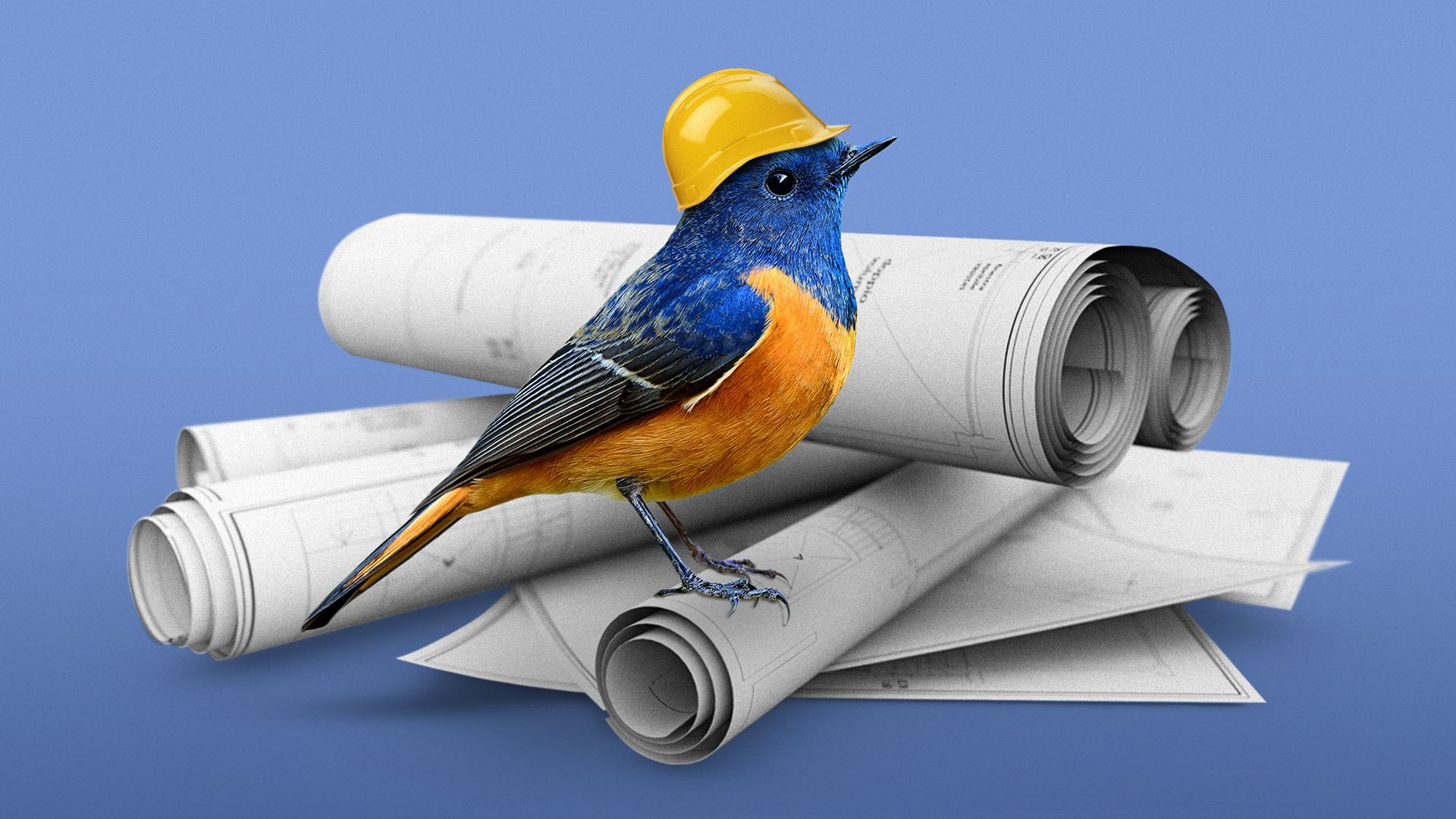 Illustration of a bird with a hard hat on standing atop rolls of blueprints