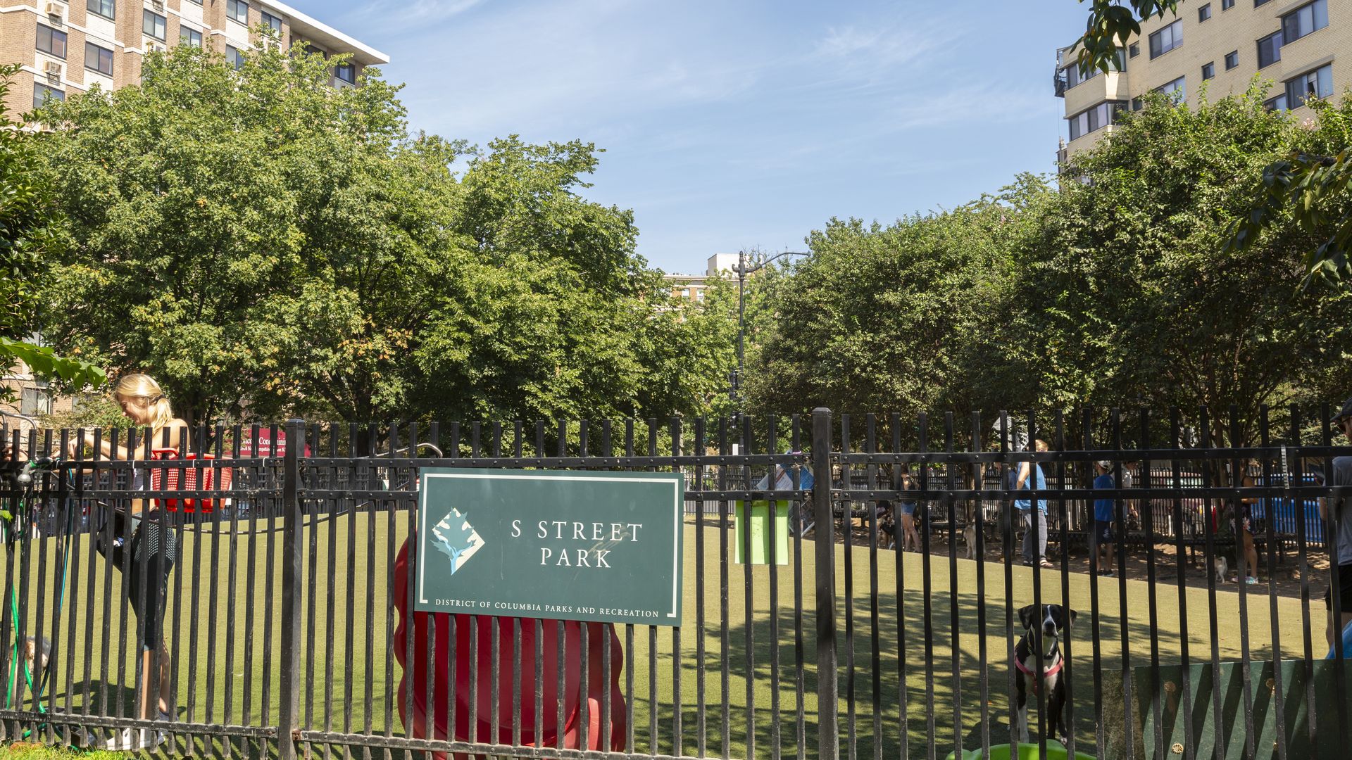 Sunny urban park scene between brick apartment buildings, with lush trees and a black fence; a green S Street Park sign, people and a dog visible near the fence.