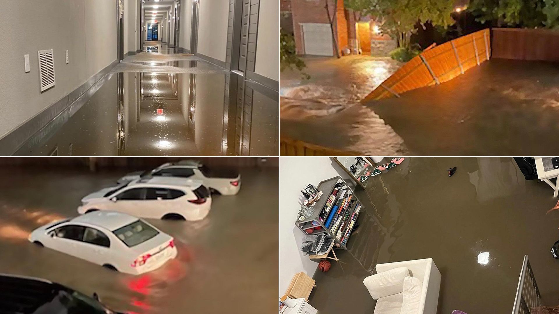 A flooded hallway, a flooded parking lot, a flooded apartment, a fence knocked over from the water
