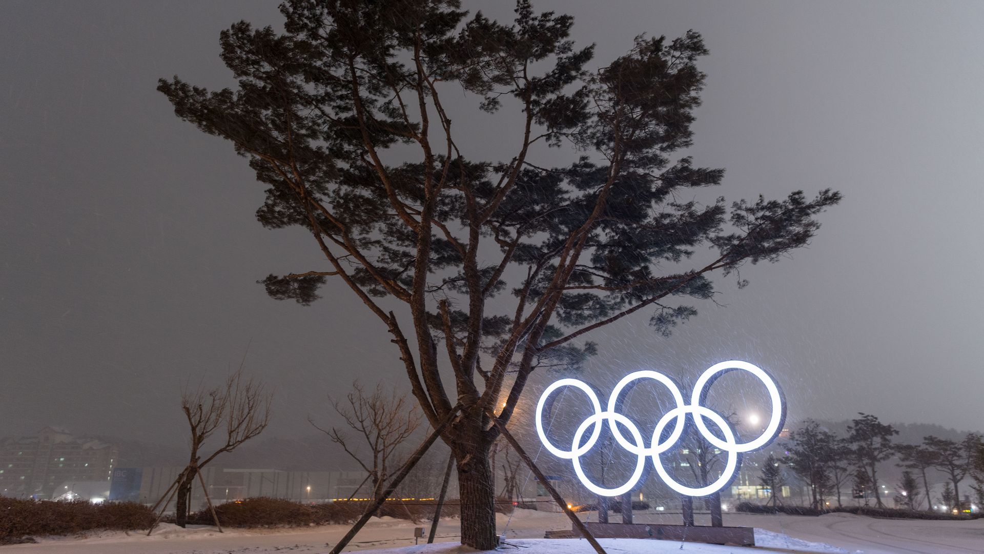 The Olympic rings as snow falls