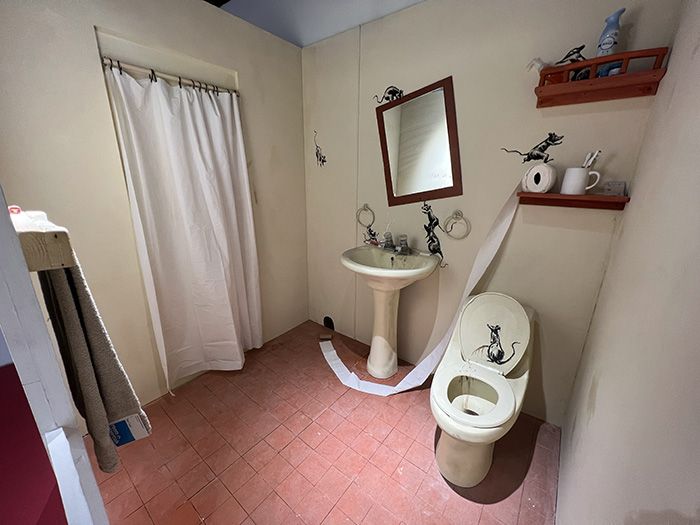 The Art of Banksy exhibit