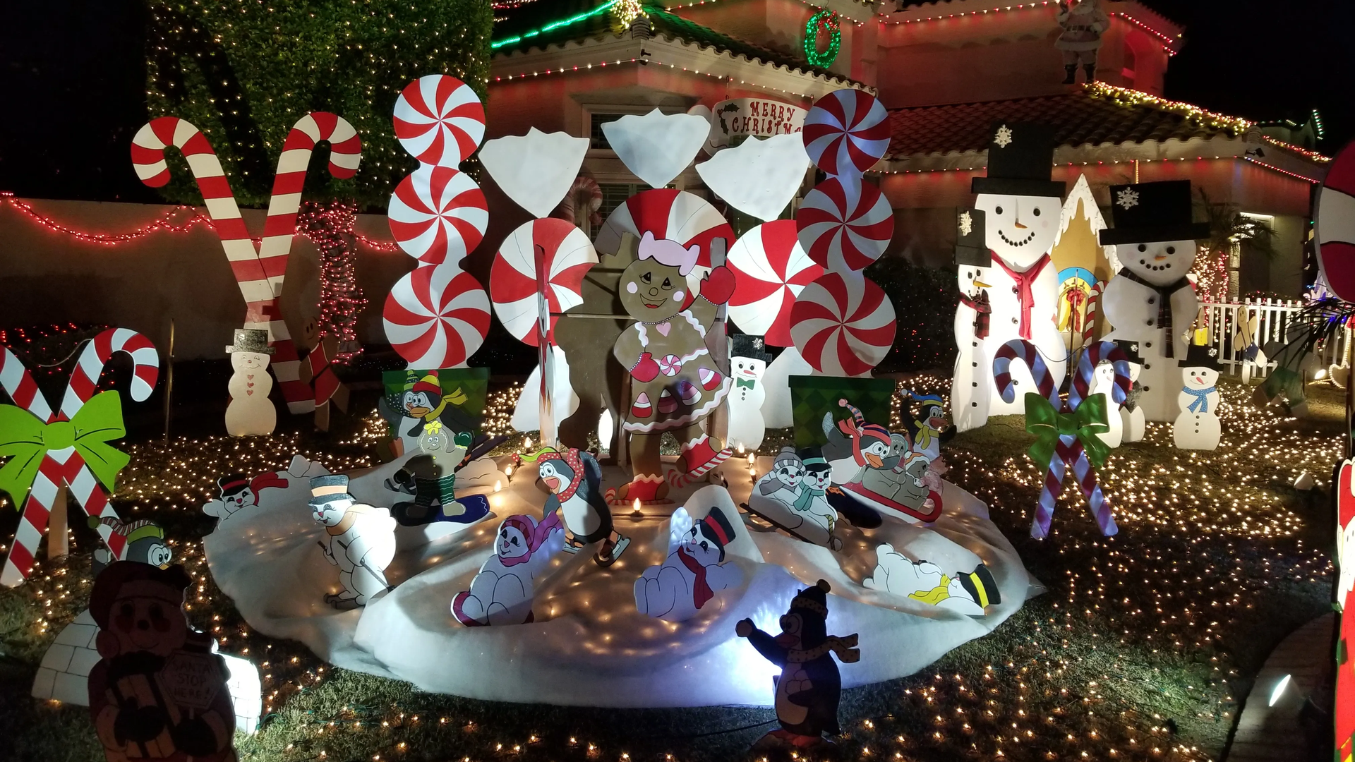 Christmas lights in a front yard.